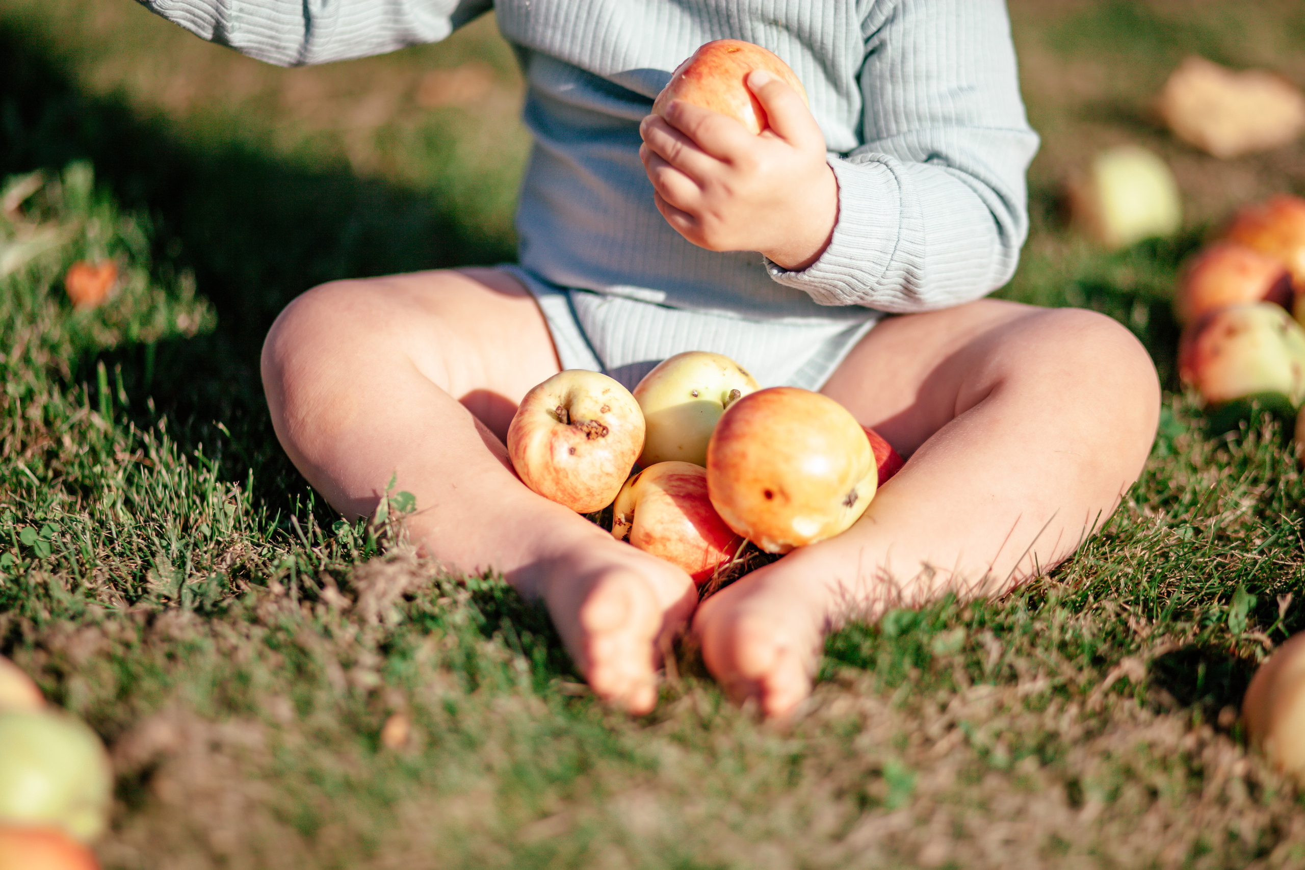 Деревенские зарисовски с Мишей ч.1. Детский и семейный фотограф Афанасьева Ольга. Санкт-Петербург