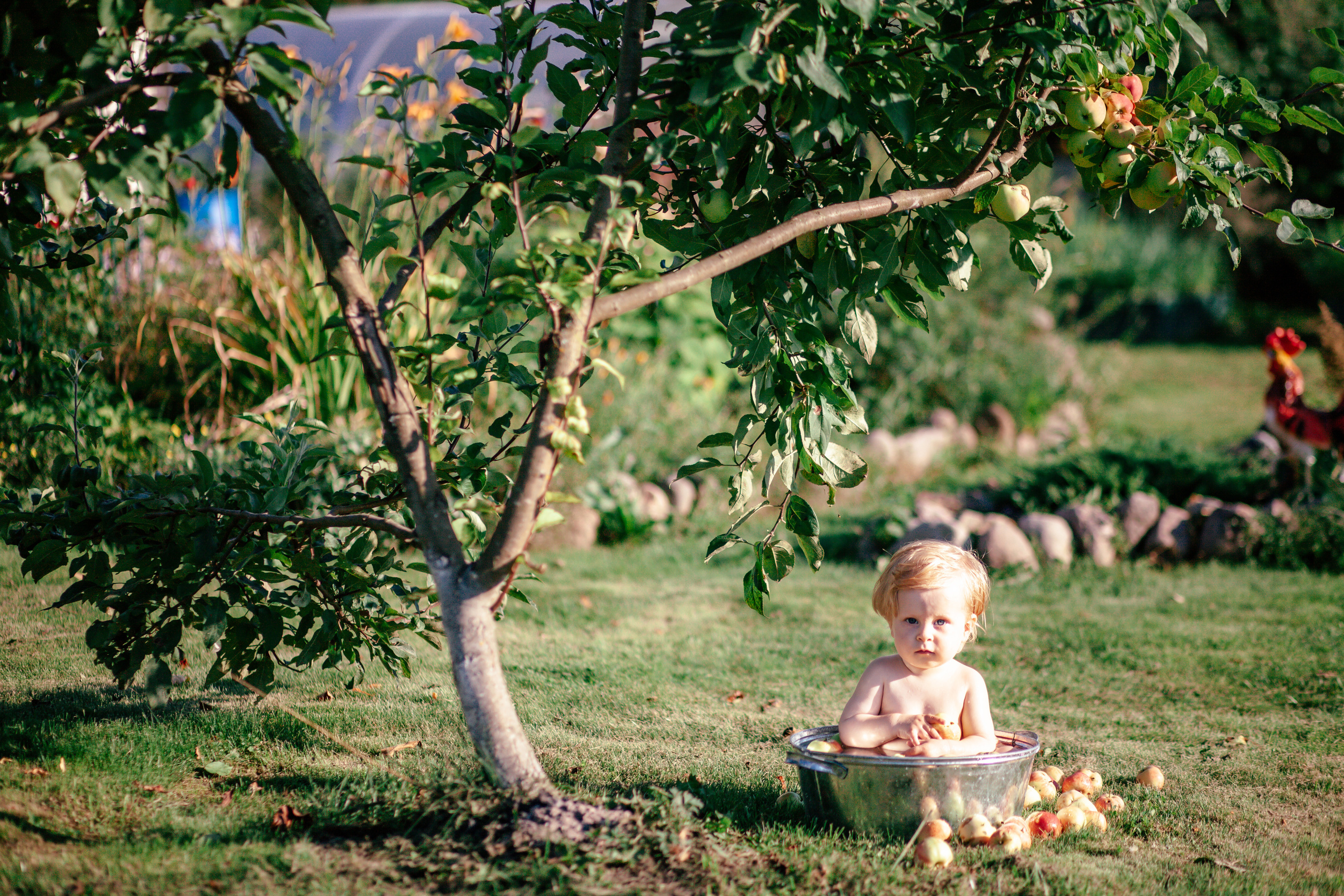 Деревенские зарисовски с Мишей ч.1. Детский и семейный фотограф Афанасьева Ольга. Санкт-Петербург