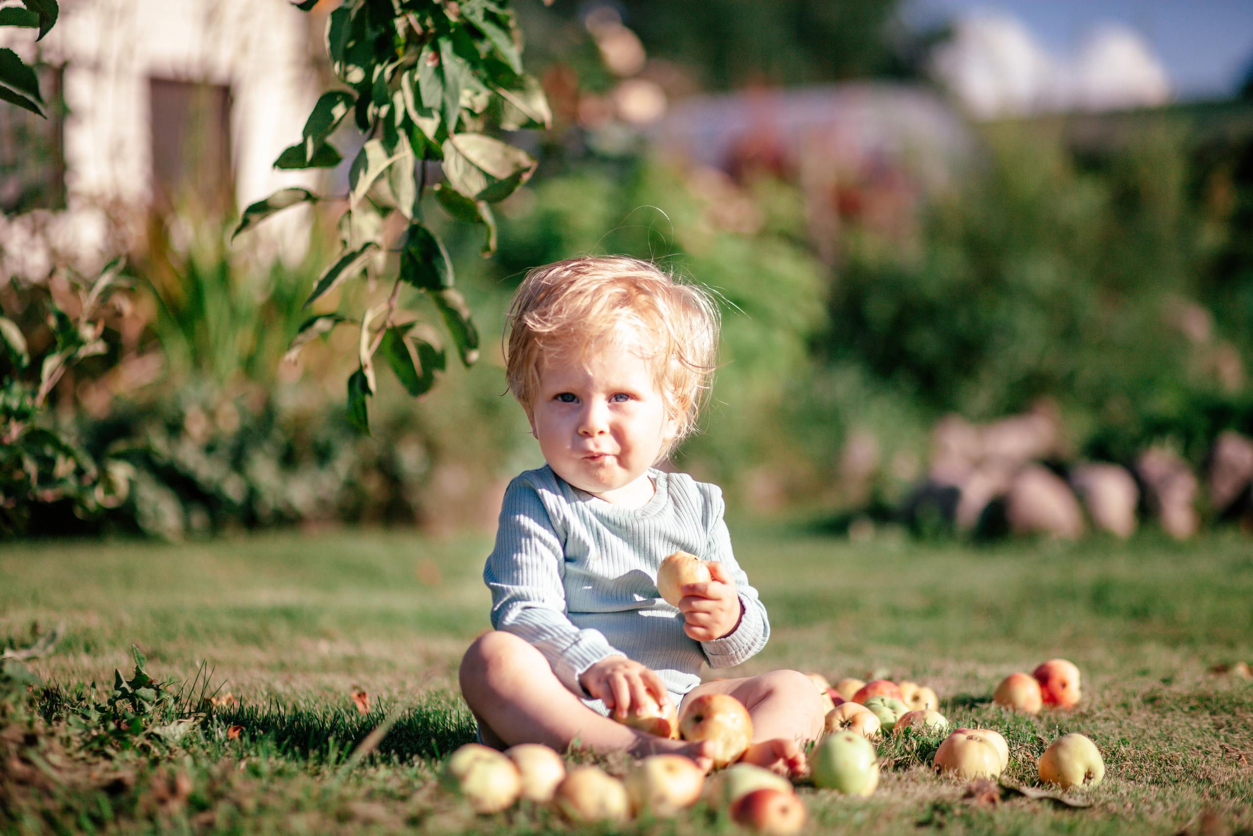 Деревенские зарисовски с Мишей ч.1. Детский и семейный фотограф Афанасьева Ольга. Санкт-Петербург