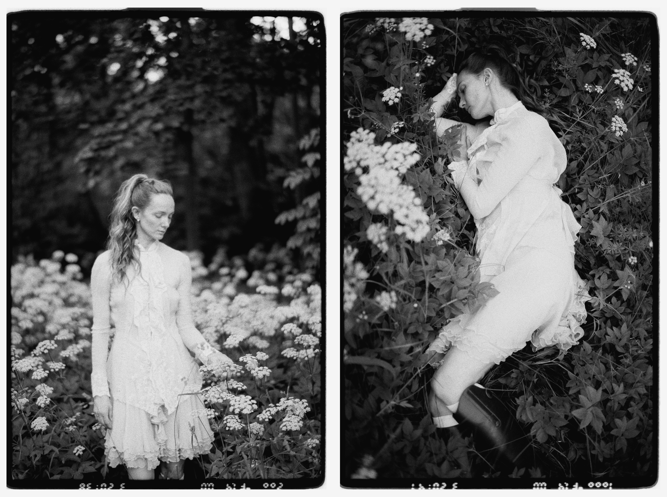 Мир Виктории. Фотограф Александр Медведев