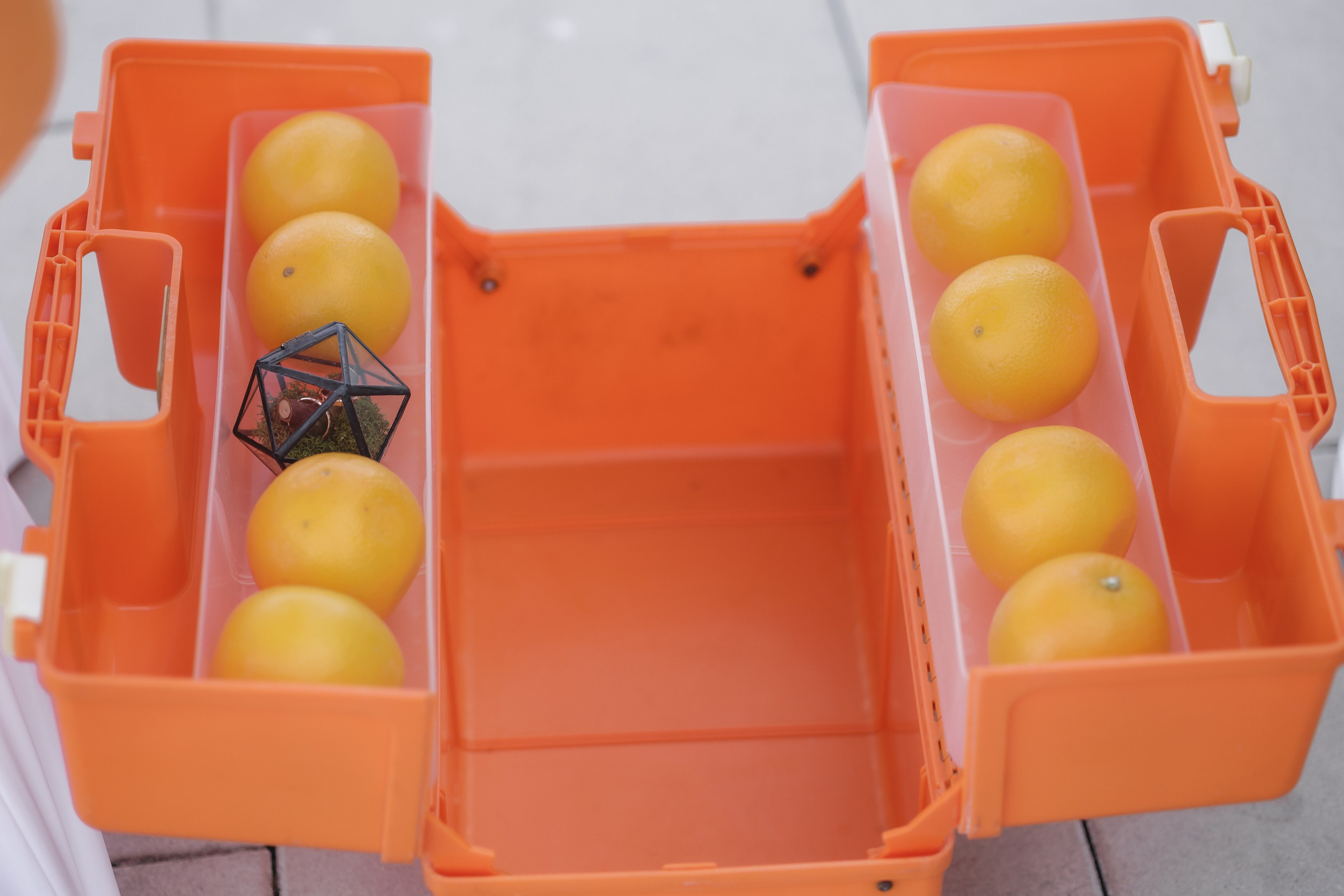 Артём и Дарья. Фотограф в Волгограде — Александра Искандерова