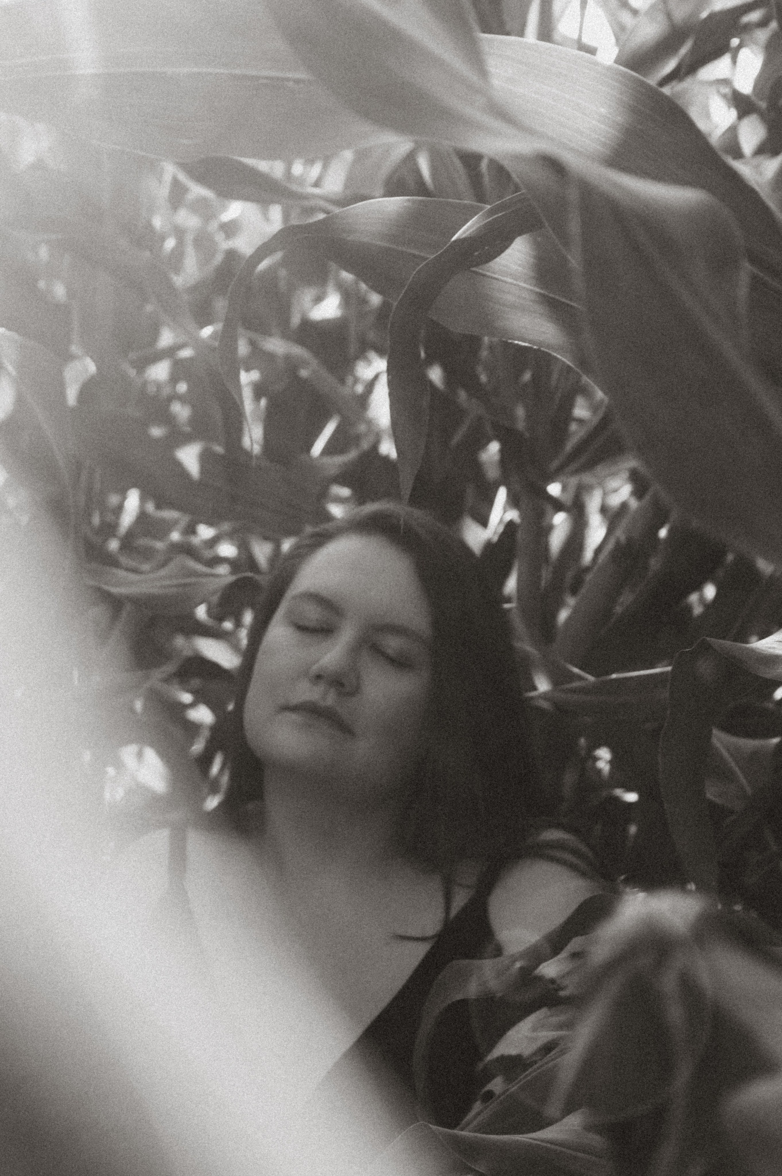 Аня. Фотосессия на кукурузном поле. Юлия Левада Семейный и женский фотограф