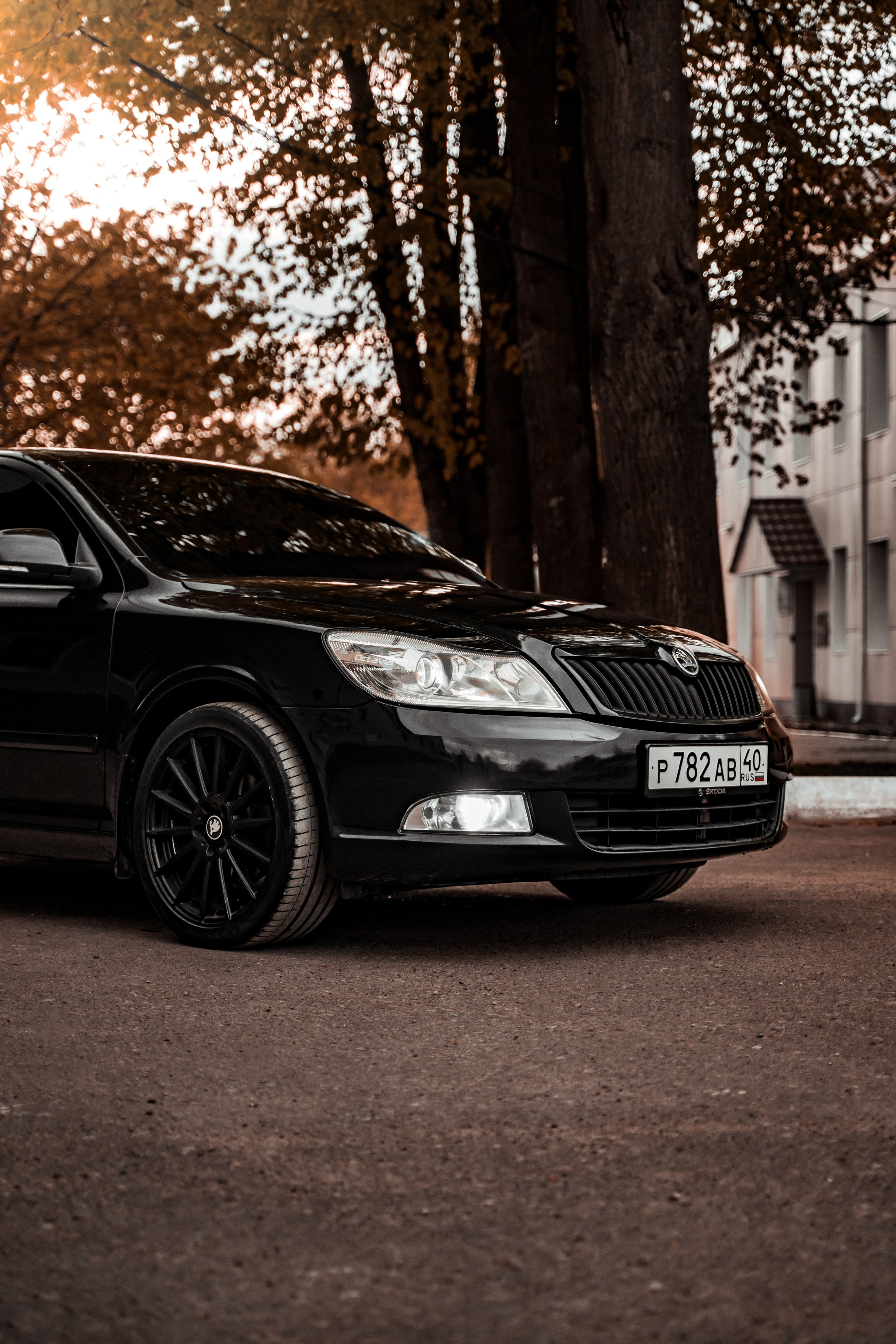 Skoda Octavia A5. Vlad Trykov