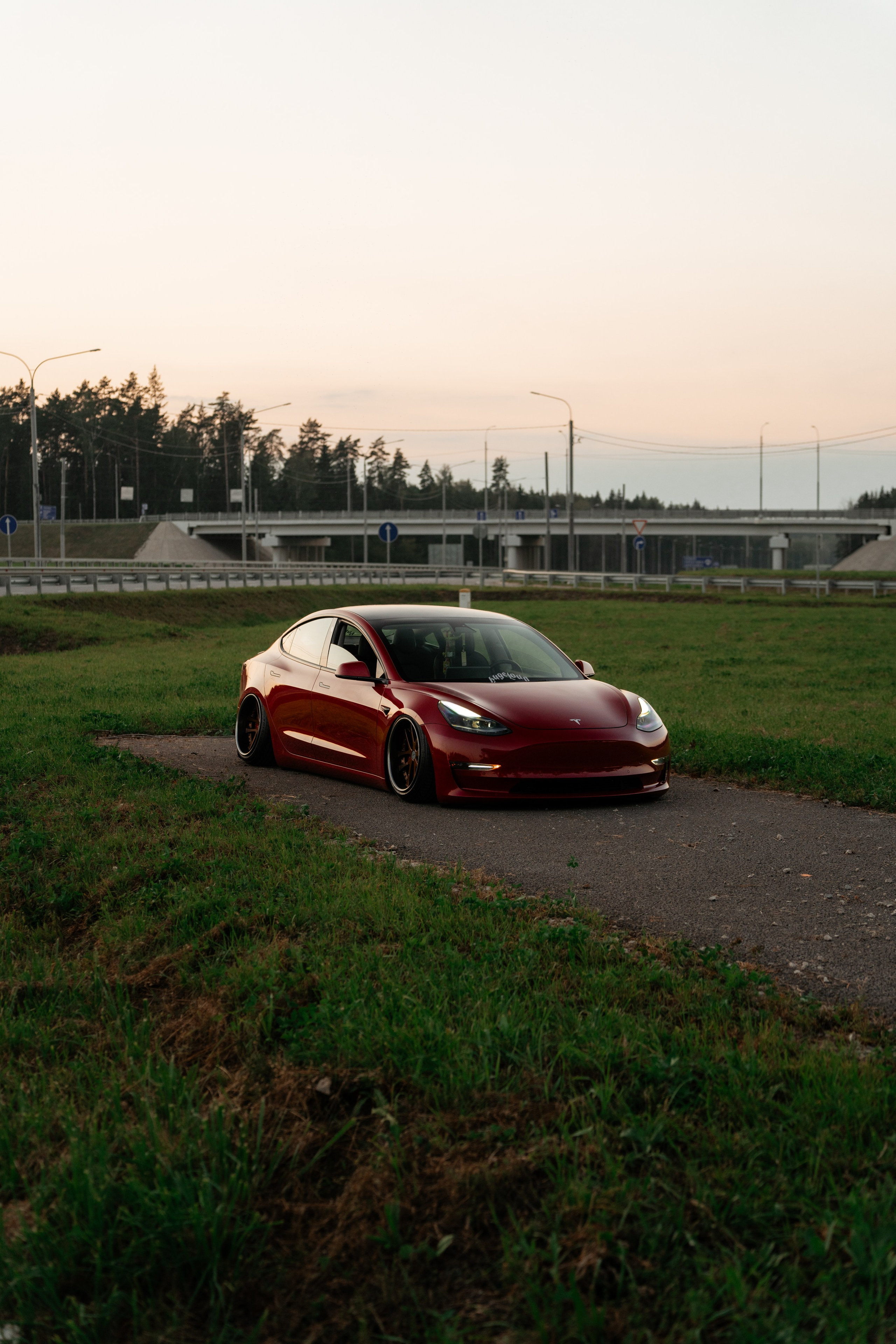 Tesla 3 Stance. Vlad Trykov