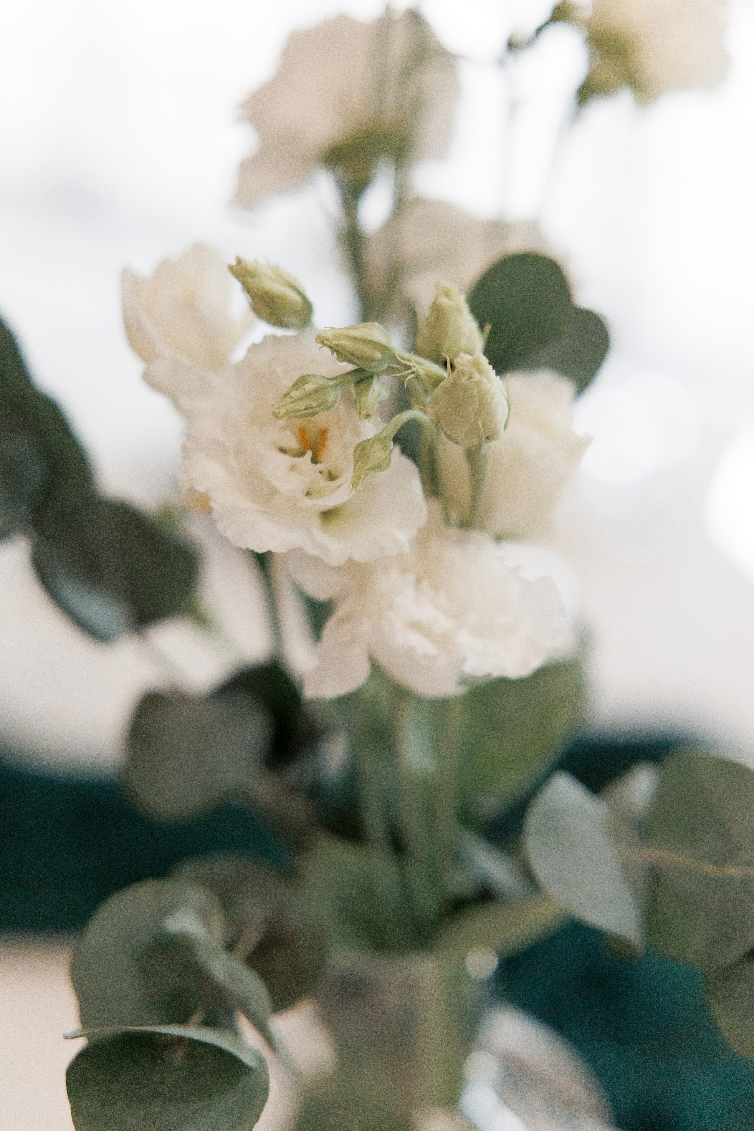 Анонс свадьбы Богдана и Татьяны. Свадебный фотограф Домодедово Москва Катерина Алехина