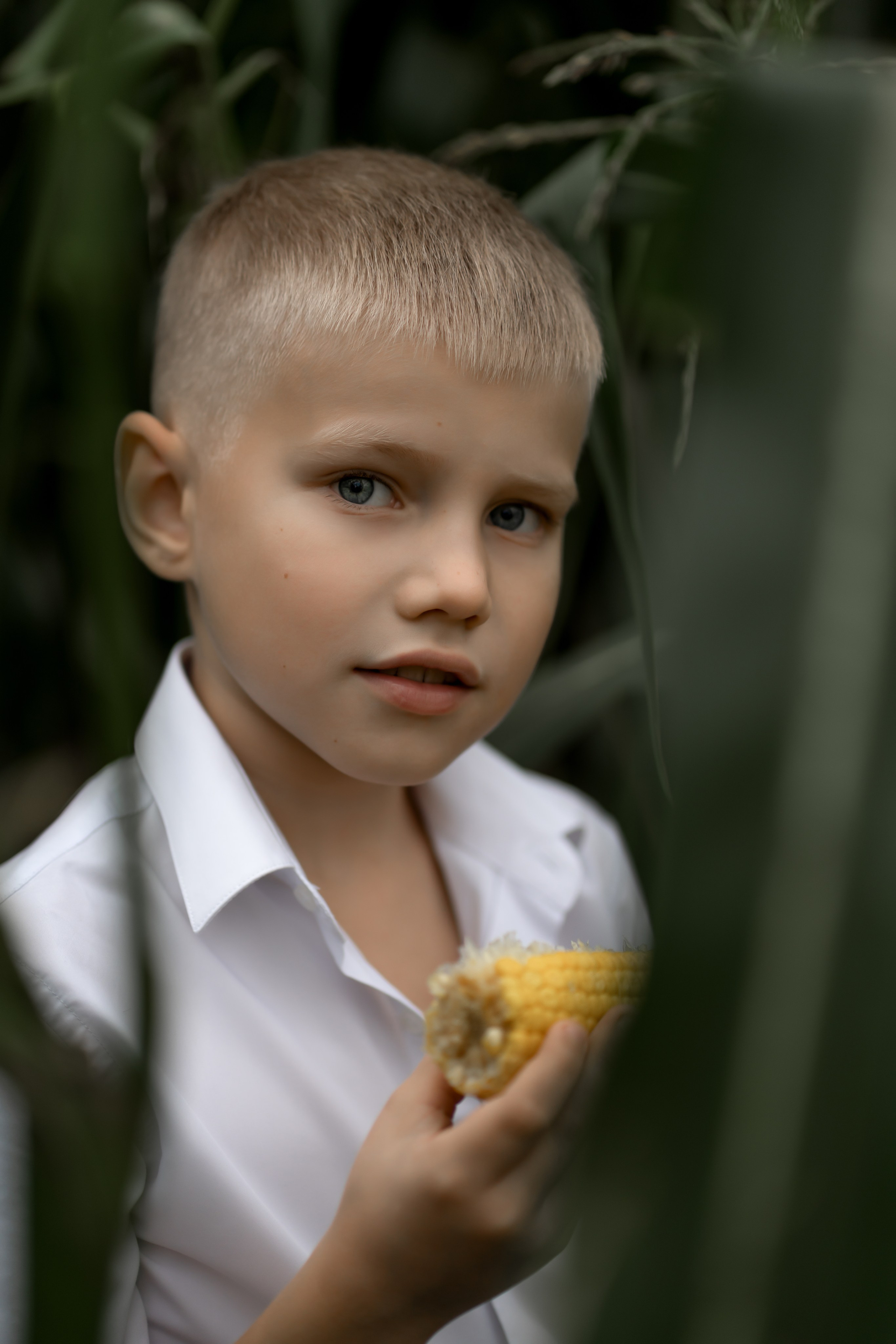 Прогулка в кукурузе. Фотограф в Красноярске. Юлия Чаушанская