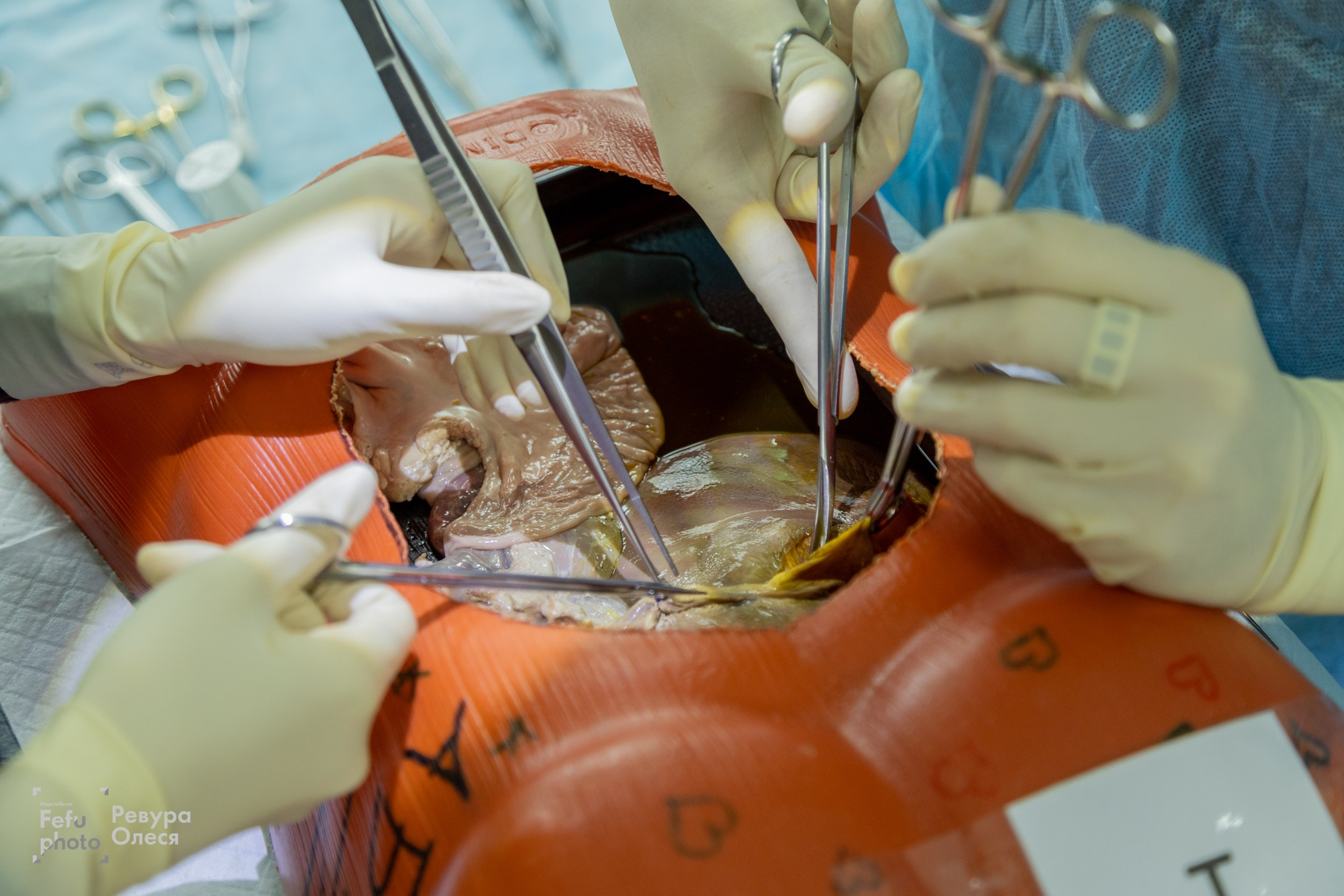 2-я Региональная олимпиада по хирургии. Репортажный и портретный фотограф в Владивостоке