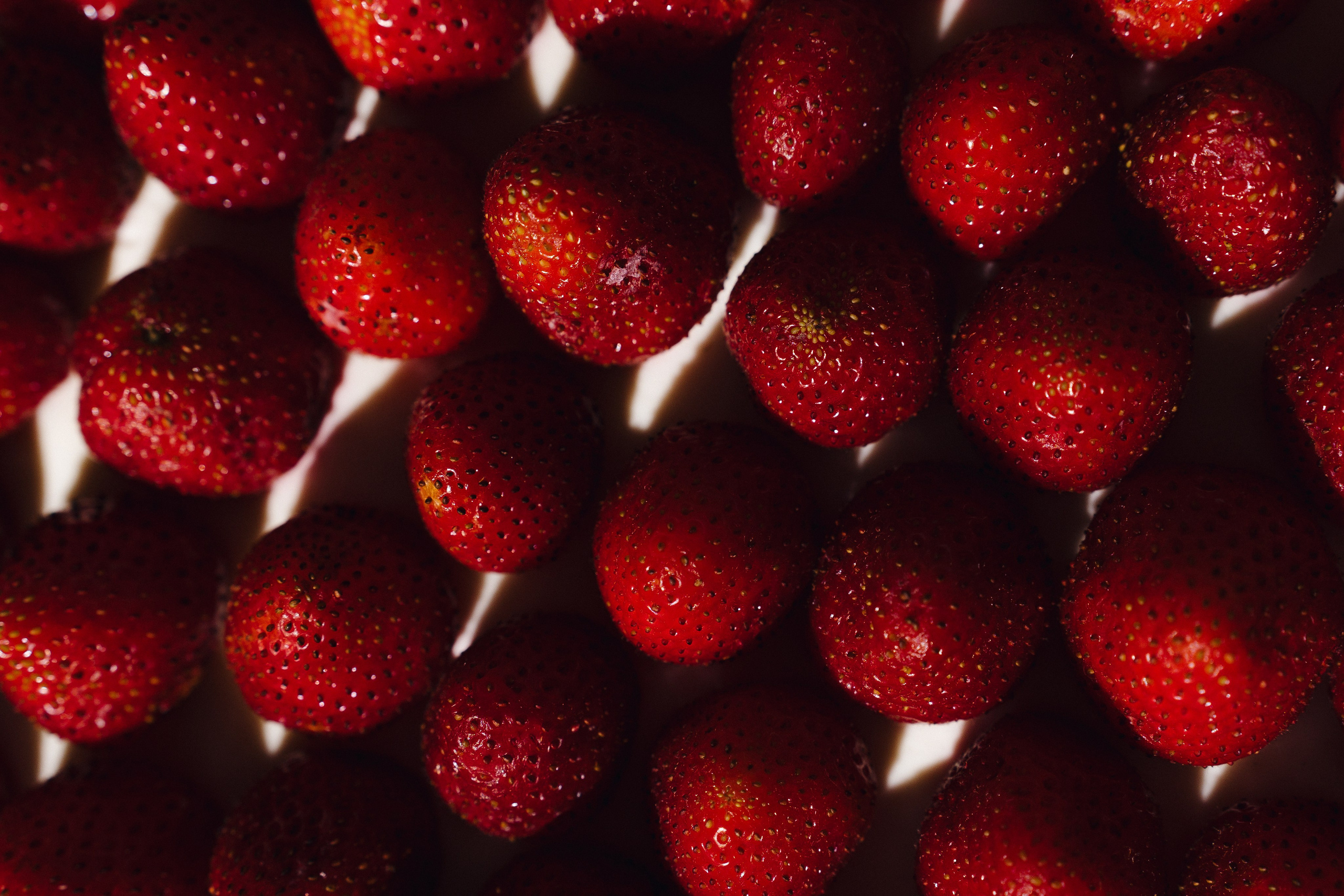 WEDDING. Свадебный Фотограф Чита Малахов Филипп