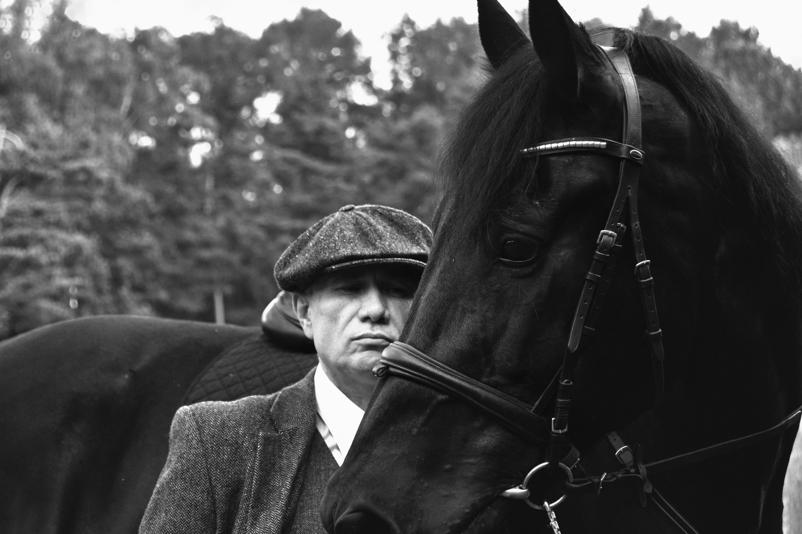 Рафаэль и Султан. Peaky Blinders. Конный фотограф Москва