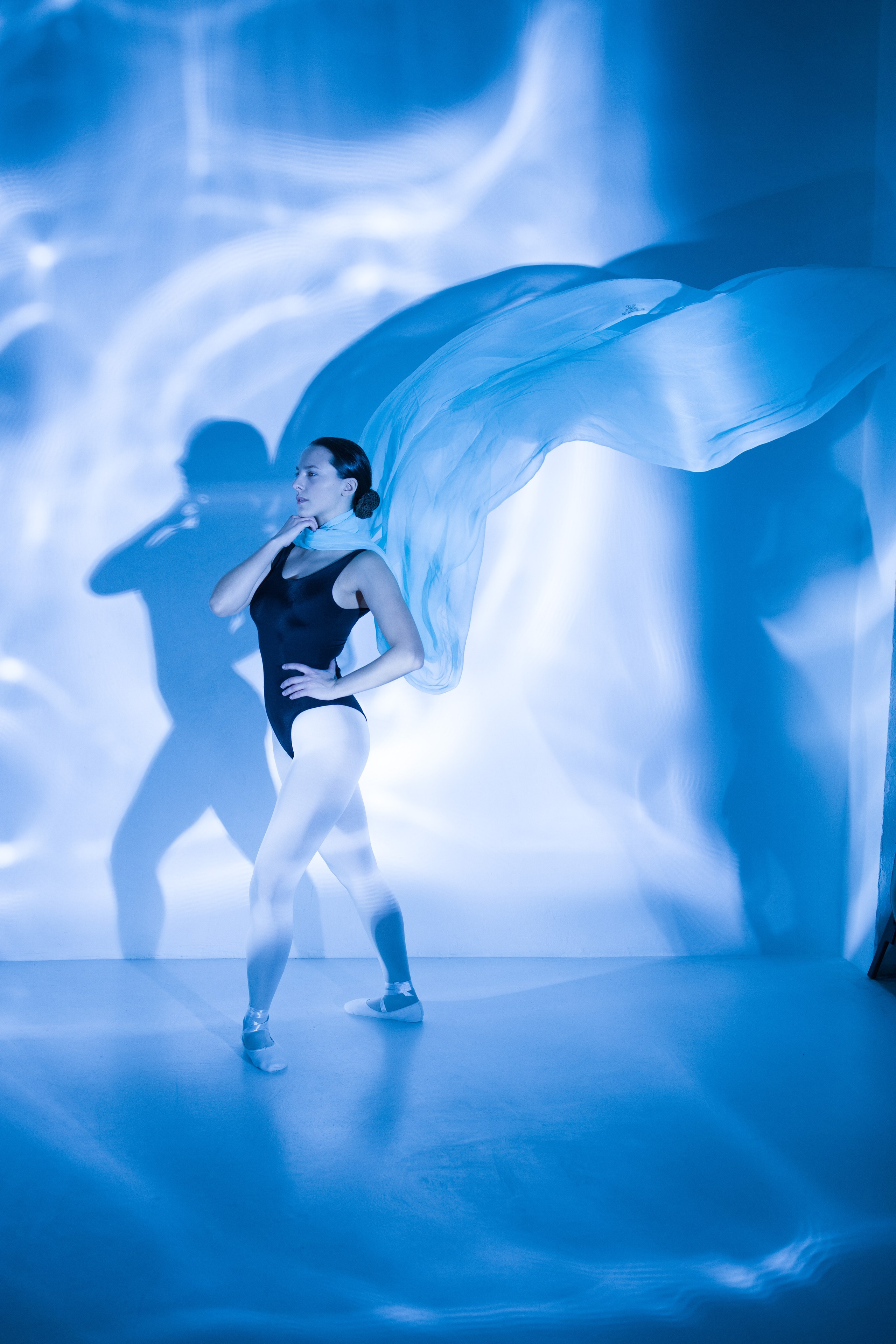 Лилия. Художественная фотография