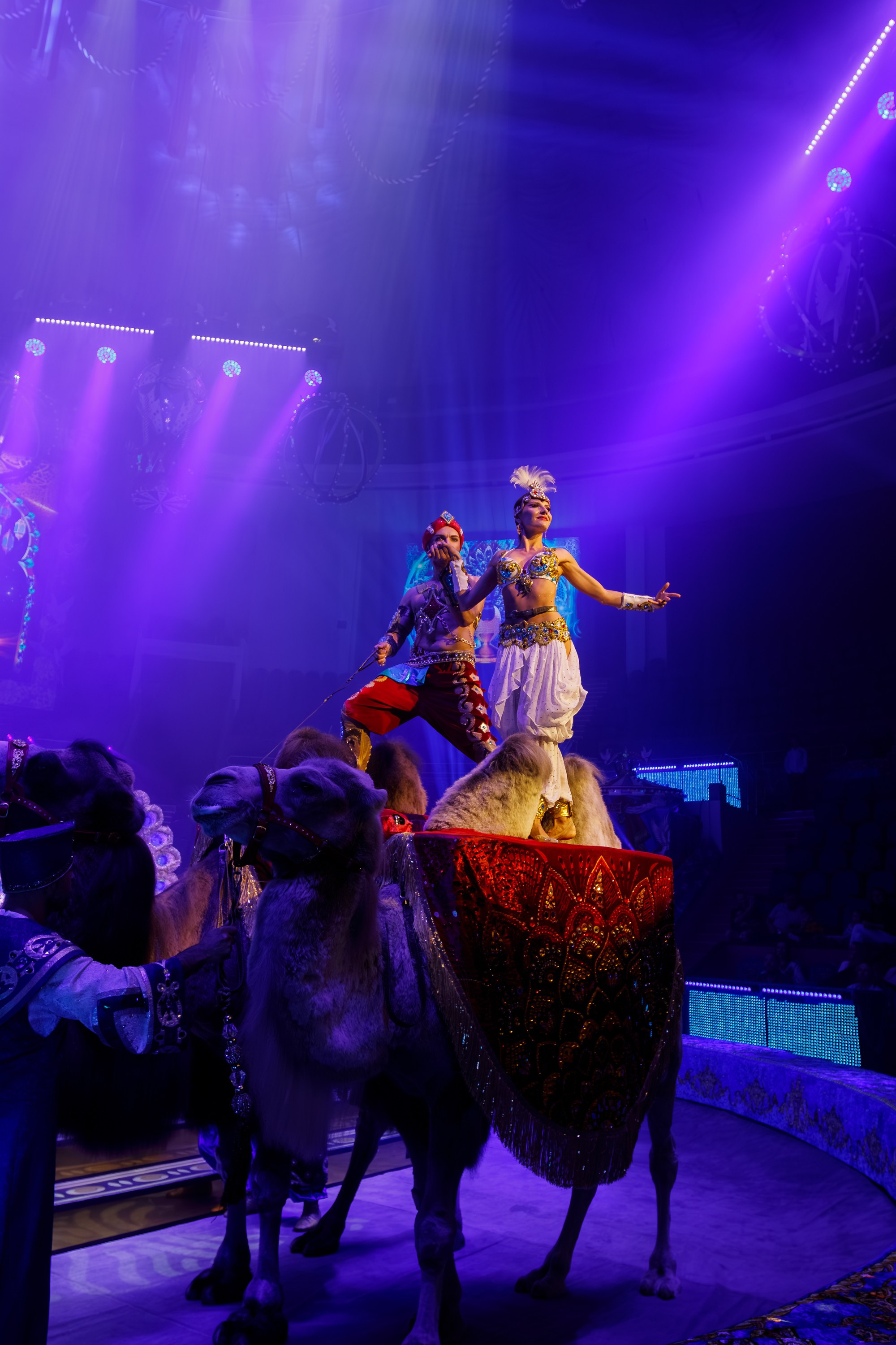 Сочинский росгорцирк Шоу Гии Эрадзе цирк. Профессиональный фотограф в Сочи Виктория Джой. Обучение