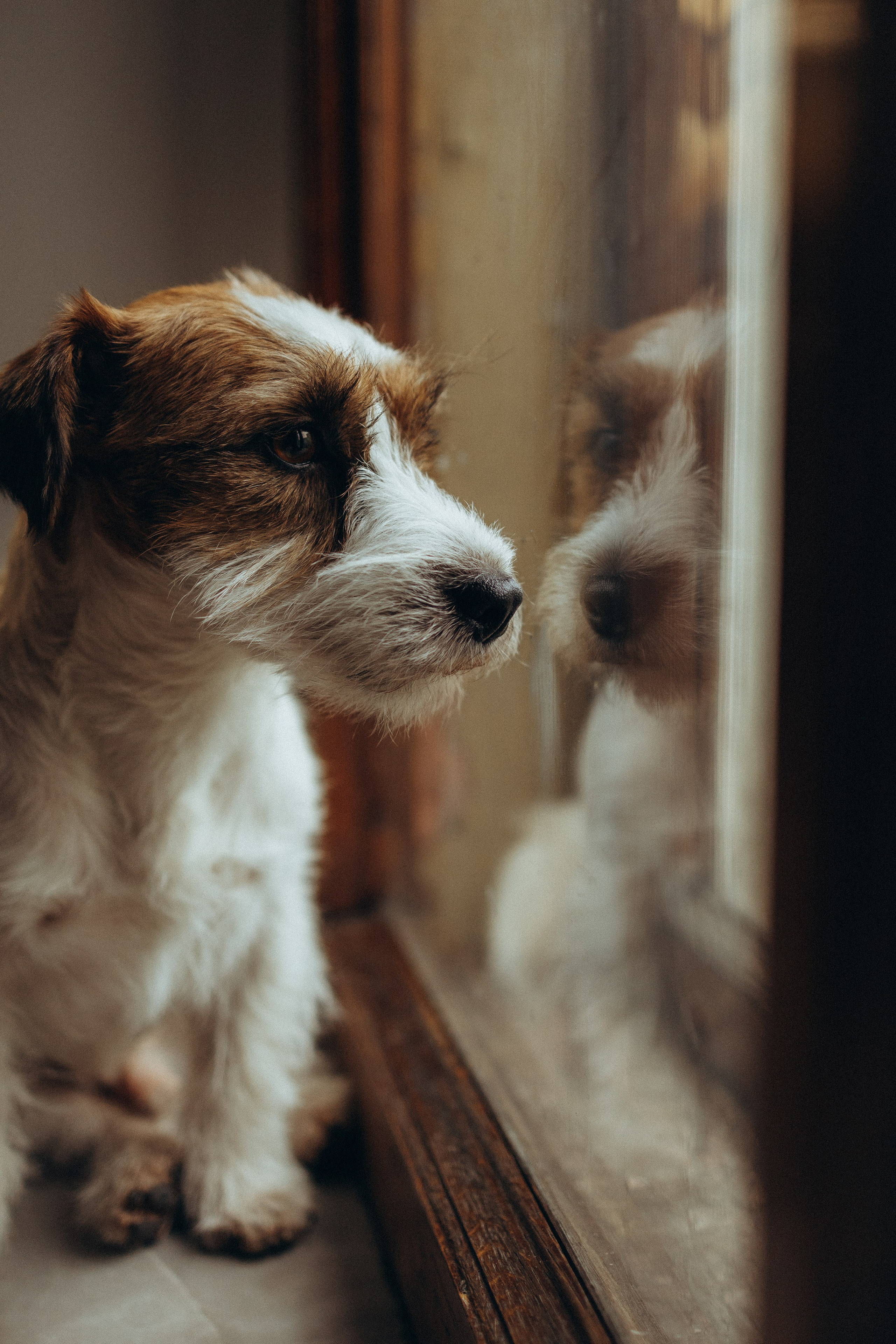 Маша и Фалафель. Фотограф Москва Алёна Суворова