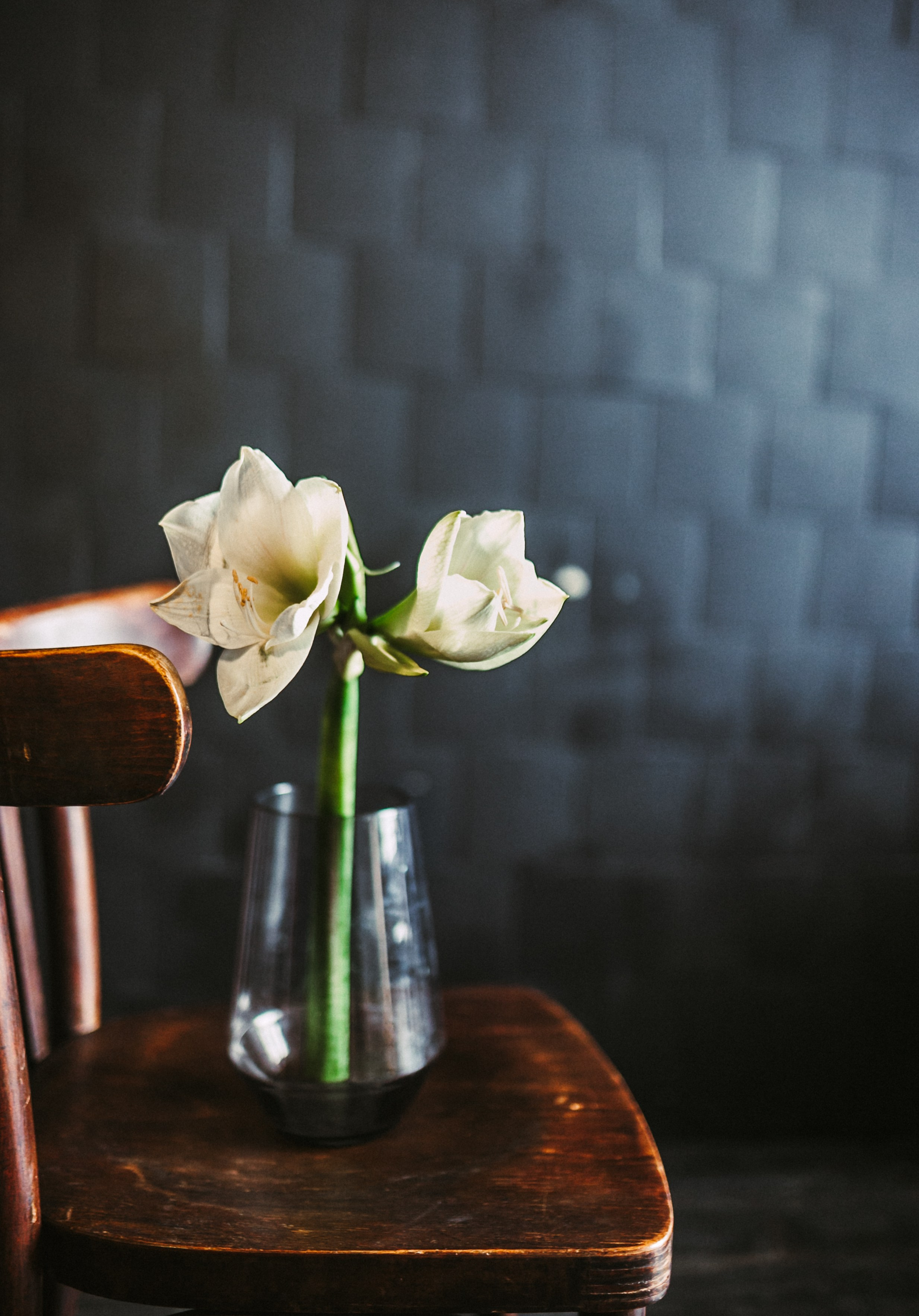 Фотосессия в студии Москва. Свадебный фотограф Мария Железняк в Москве