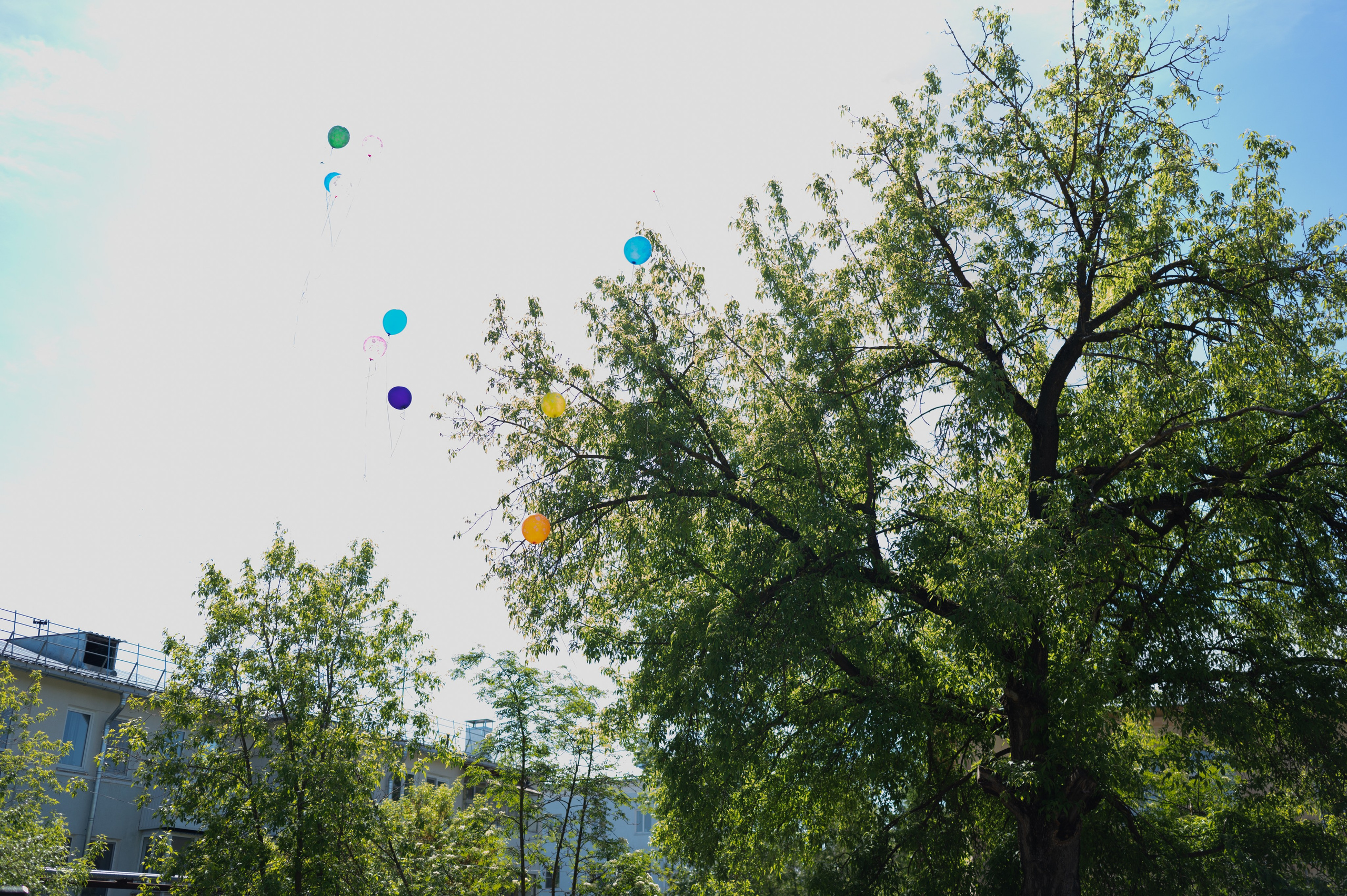 56 сад. Детский и семейный фотограф Катерина Мишина