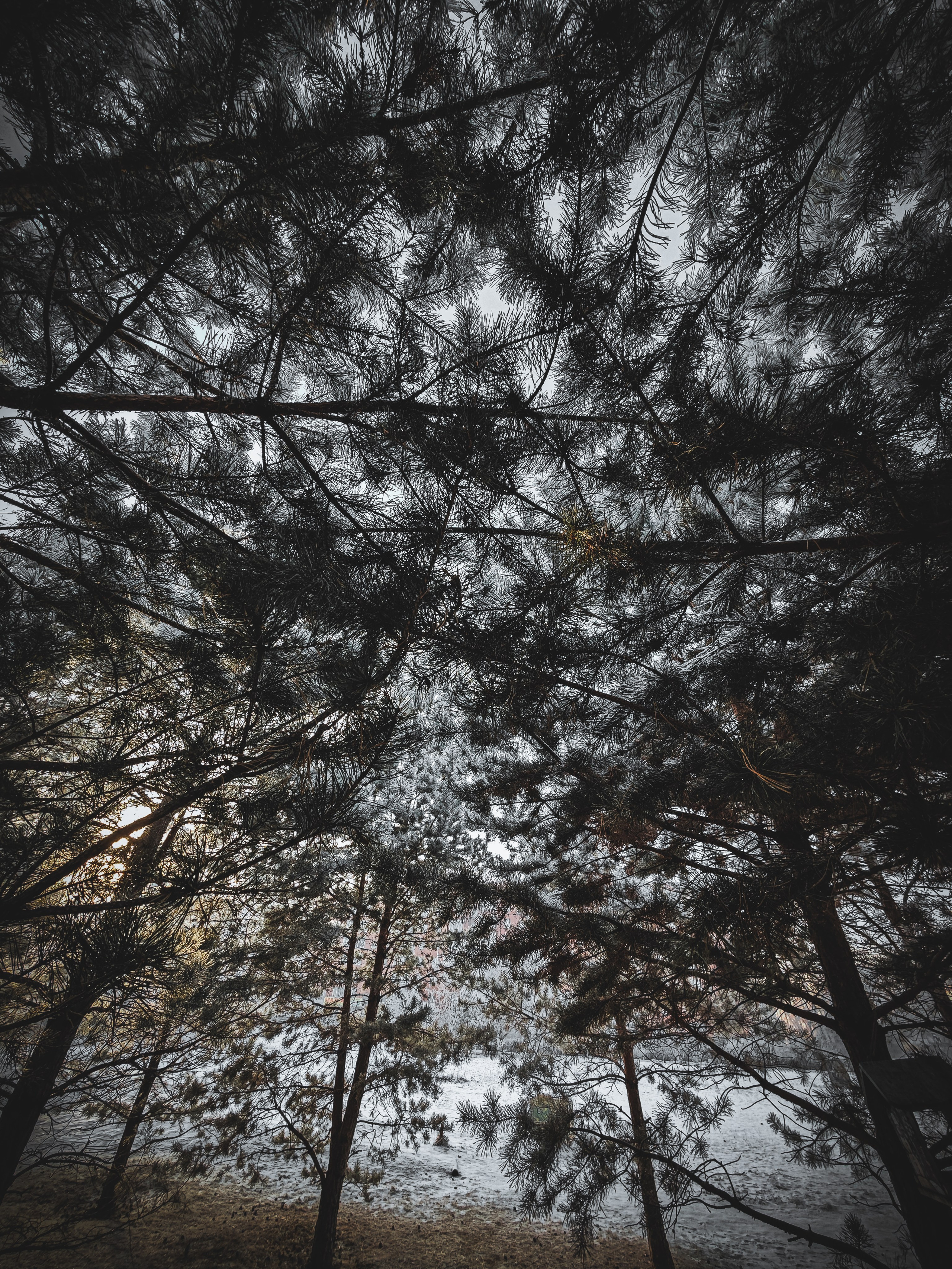 Скоро лето. Игорь Урывский. Фотограф Красноярск