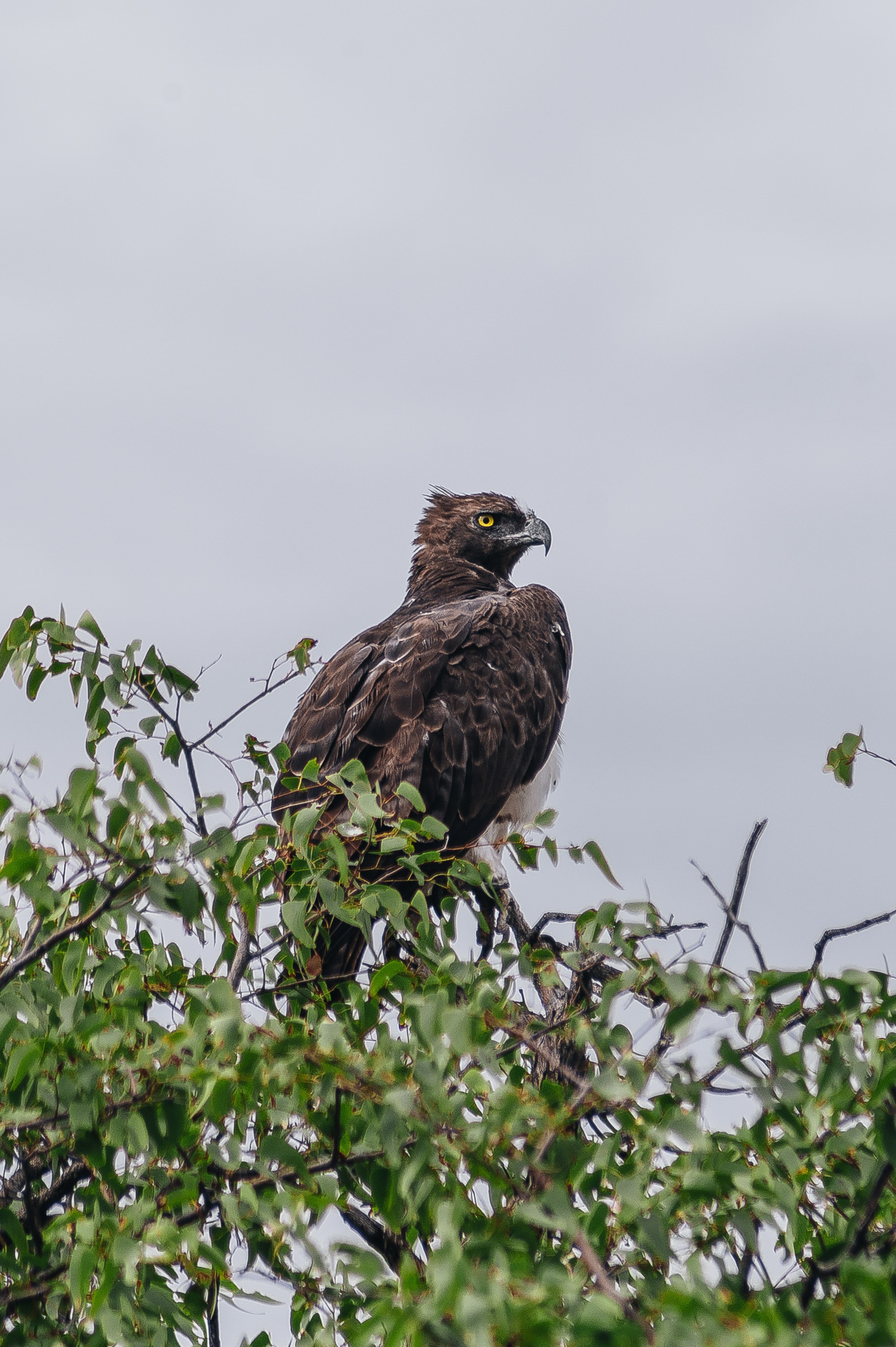 НАМИБИЯ. Роадтрип