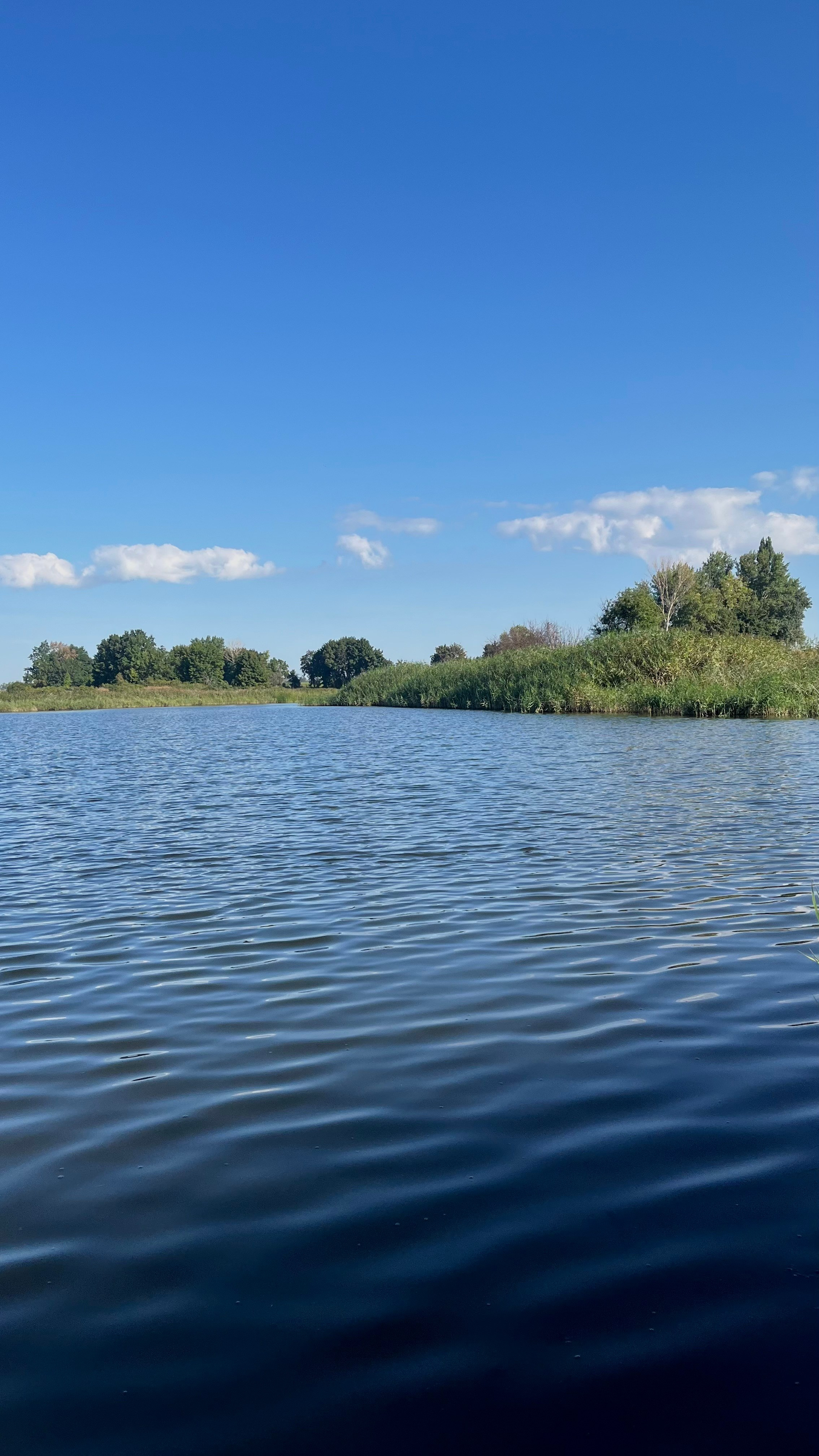 Летний пейзаж. Фотограф природных объектов