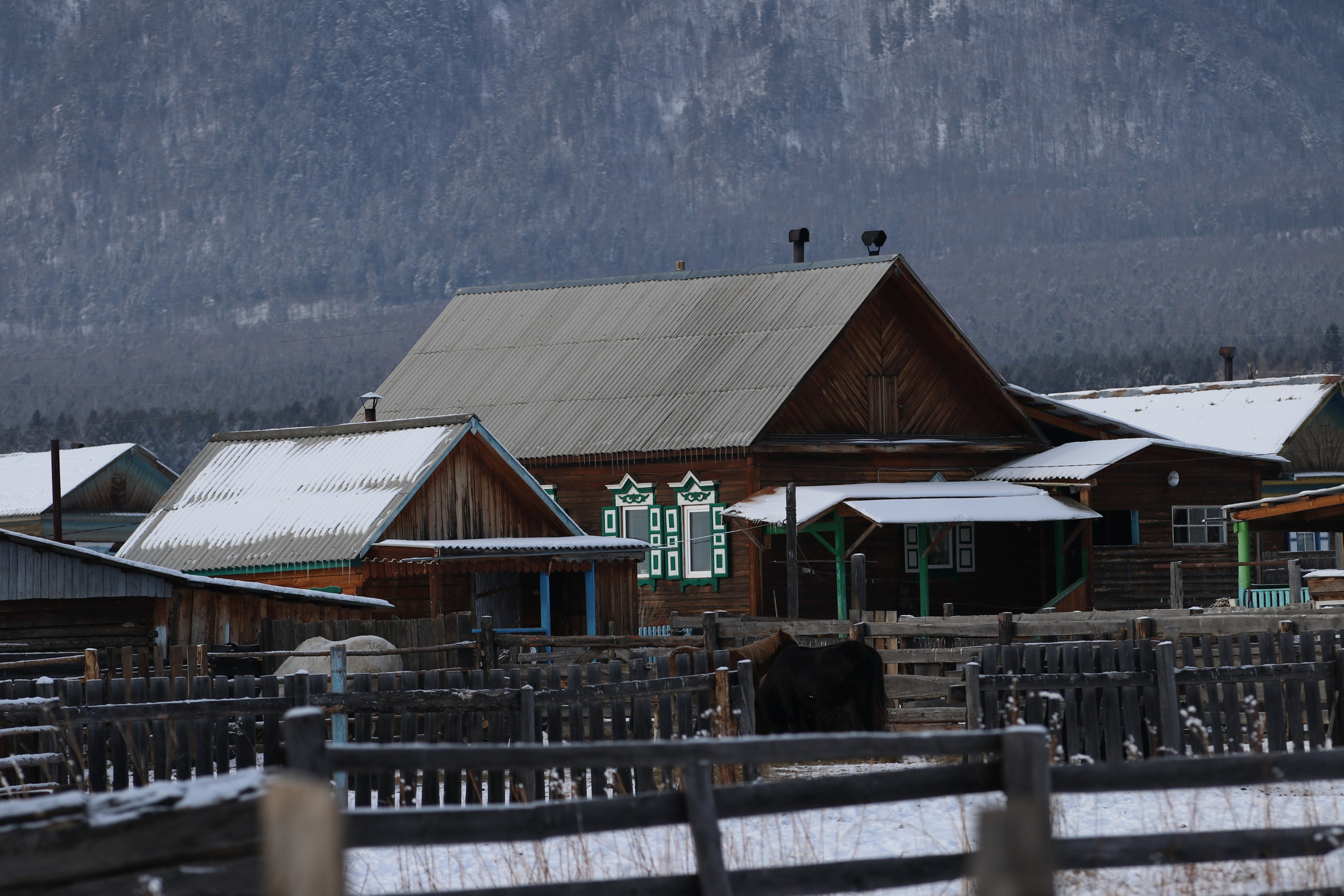 Аршан. Январь 2024. Путешественник-фотограф из Санкт-Петербурга Татьяна Свистулина