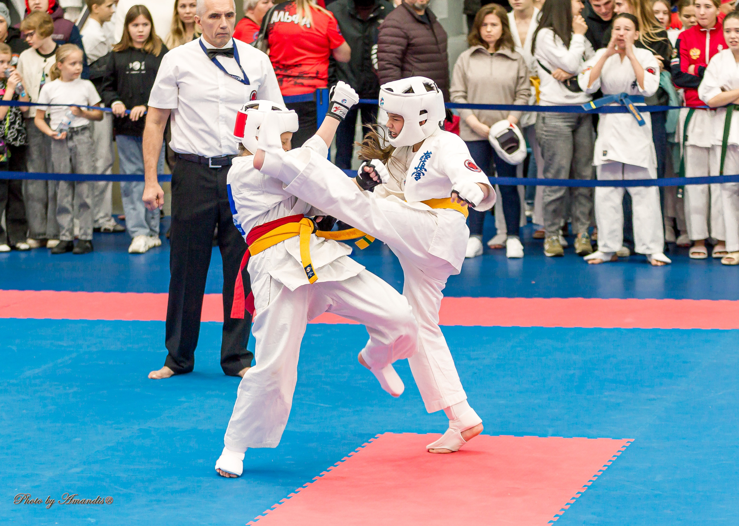 Чемпионат по Киокушинкай Центрального Федерального округа. Репортажная съемка в Москве и области. Анималистика