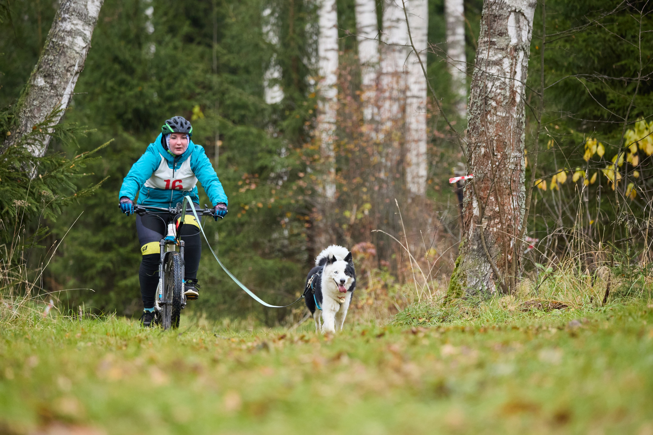 Чемпионат по ЕС Ярославской области. Фотограф Ирина Астор