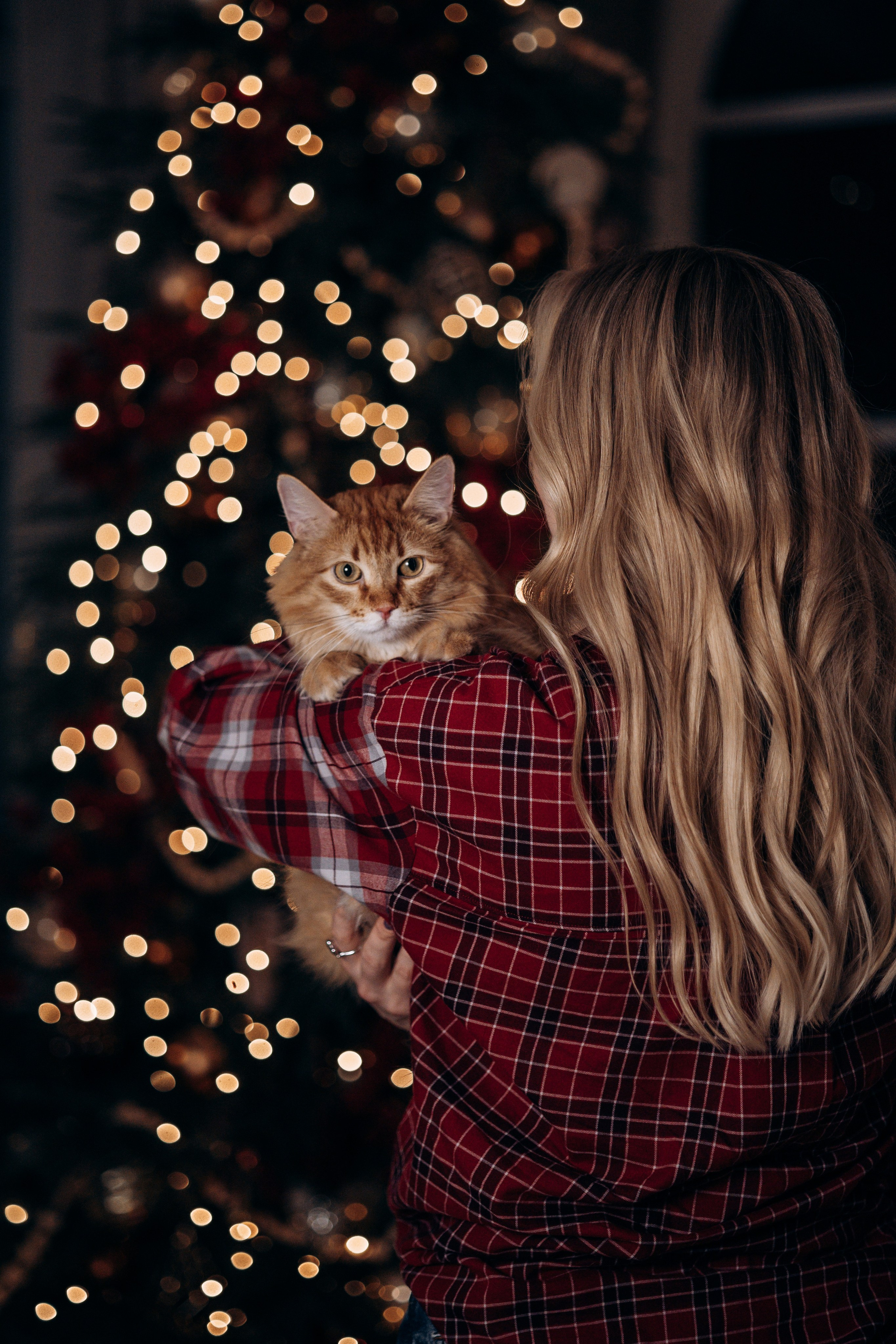 Эля и Франц. Фотограф — Анималист | Санкт-Петербург