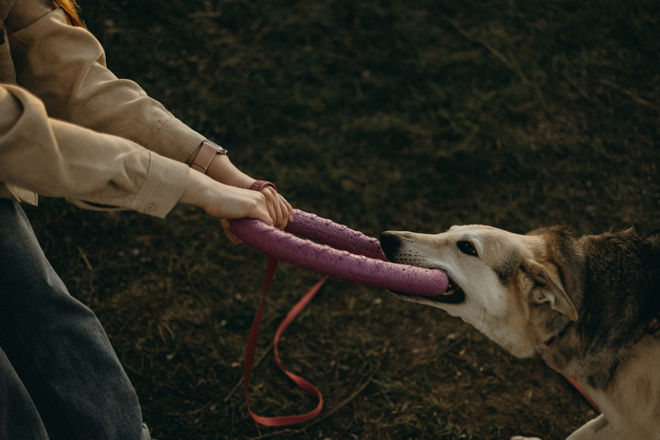 Саша и Зельда. Фотограф — Анималист | Санкт-Петербург