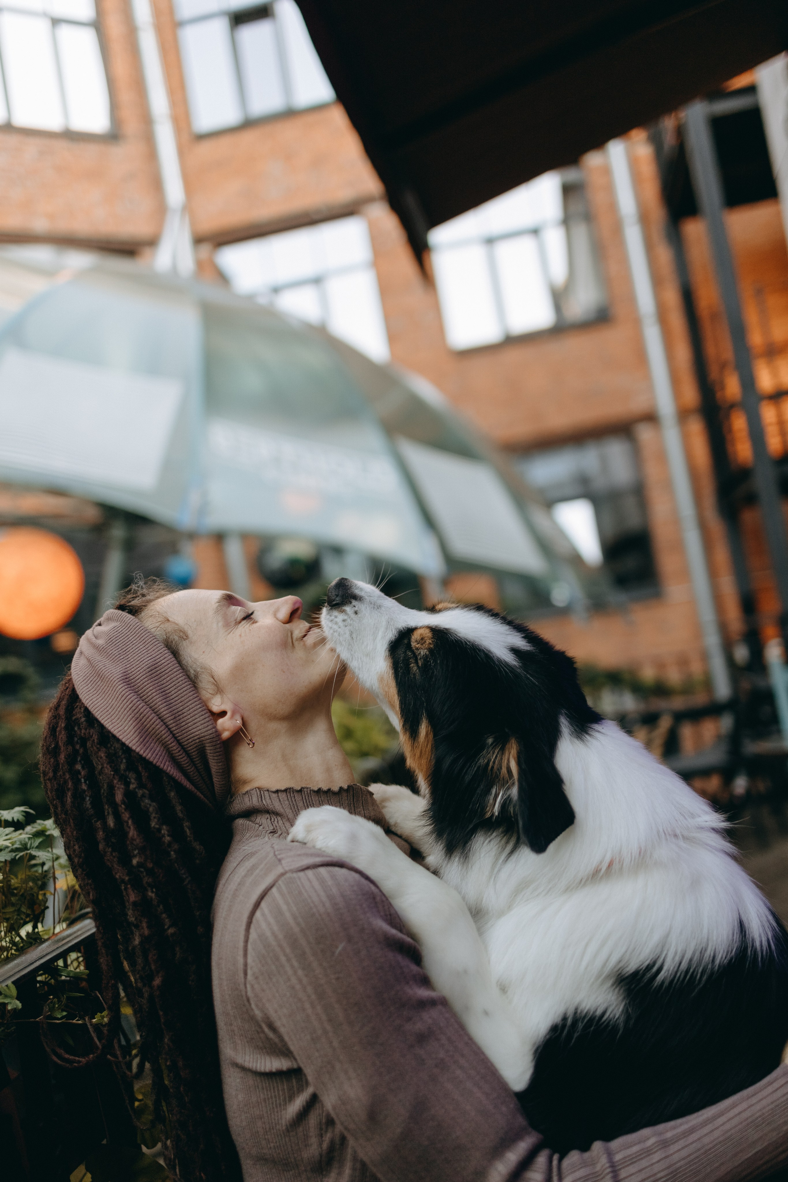 Катя и ее девочки. Фотограф — Анималист | Санкт-Петербург