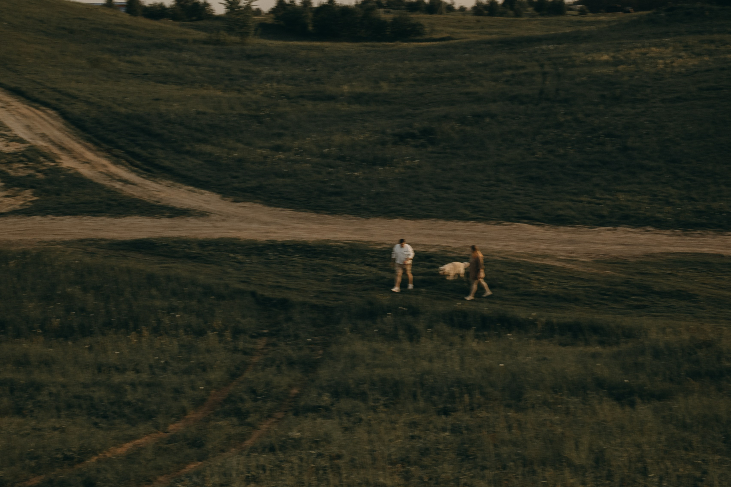 Милка и ребята. Фотограф — Анималист | Санкт-Петербург