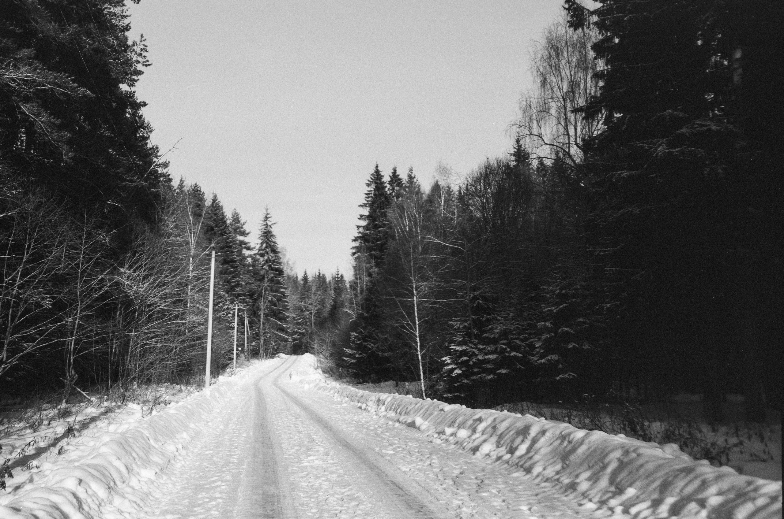 Minox 35GT / Тасма Т-25 ISO 100 / Давыдовское, Лукино