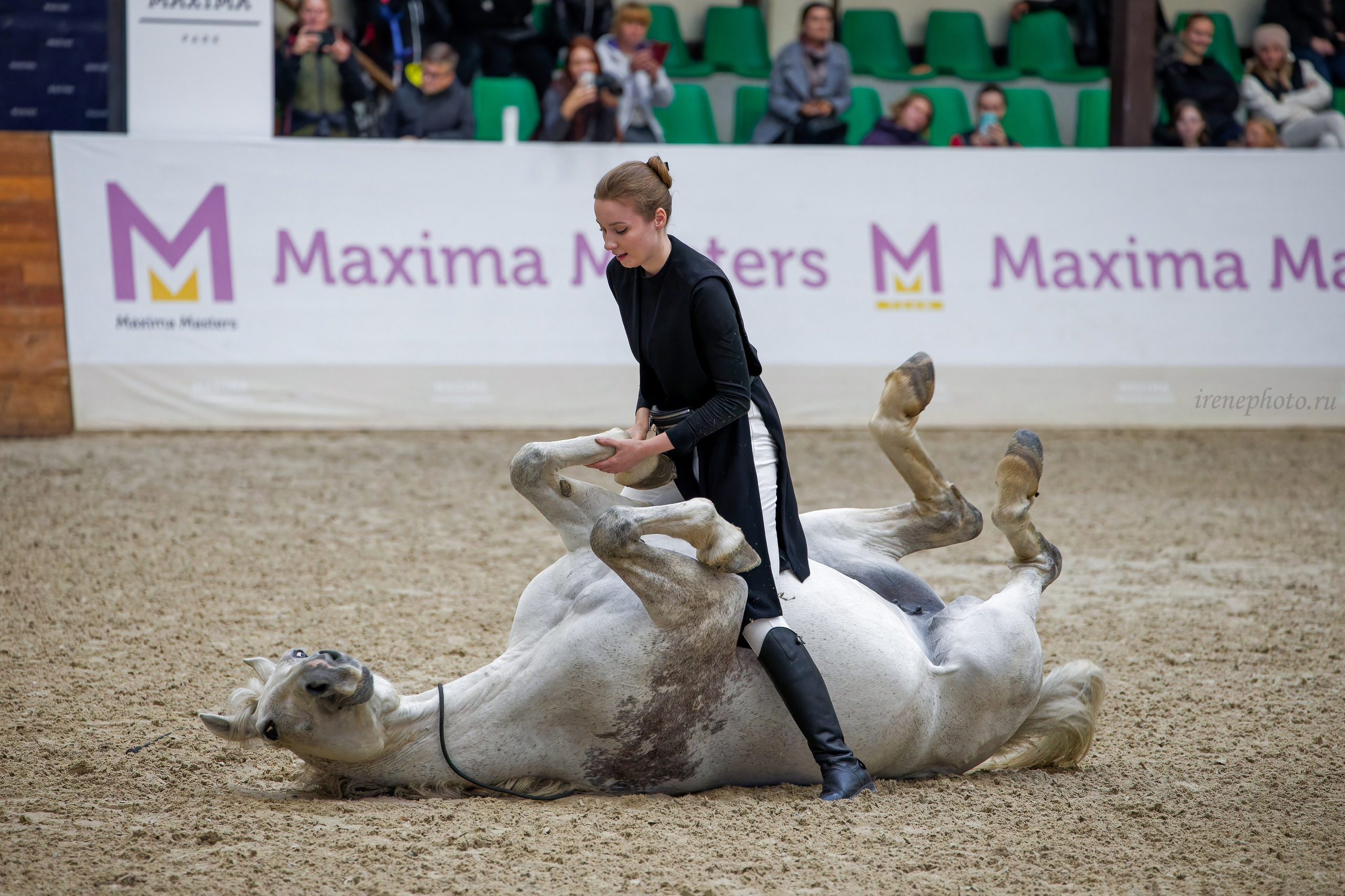 Конная Россия 2024. Irenephoto.ru