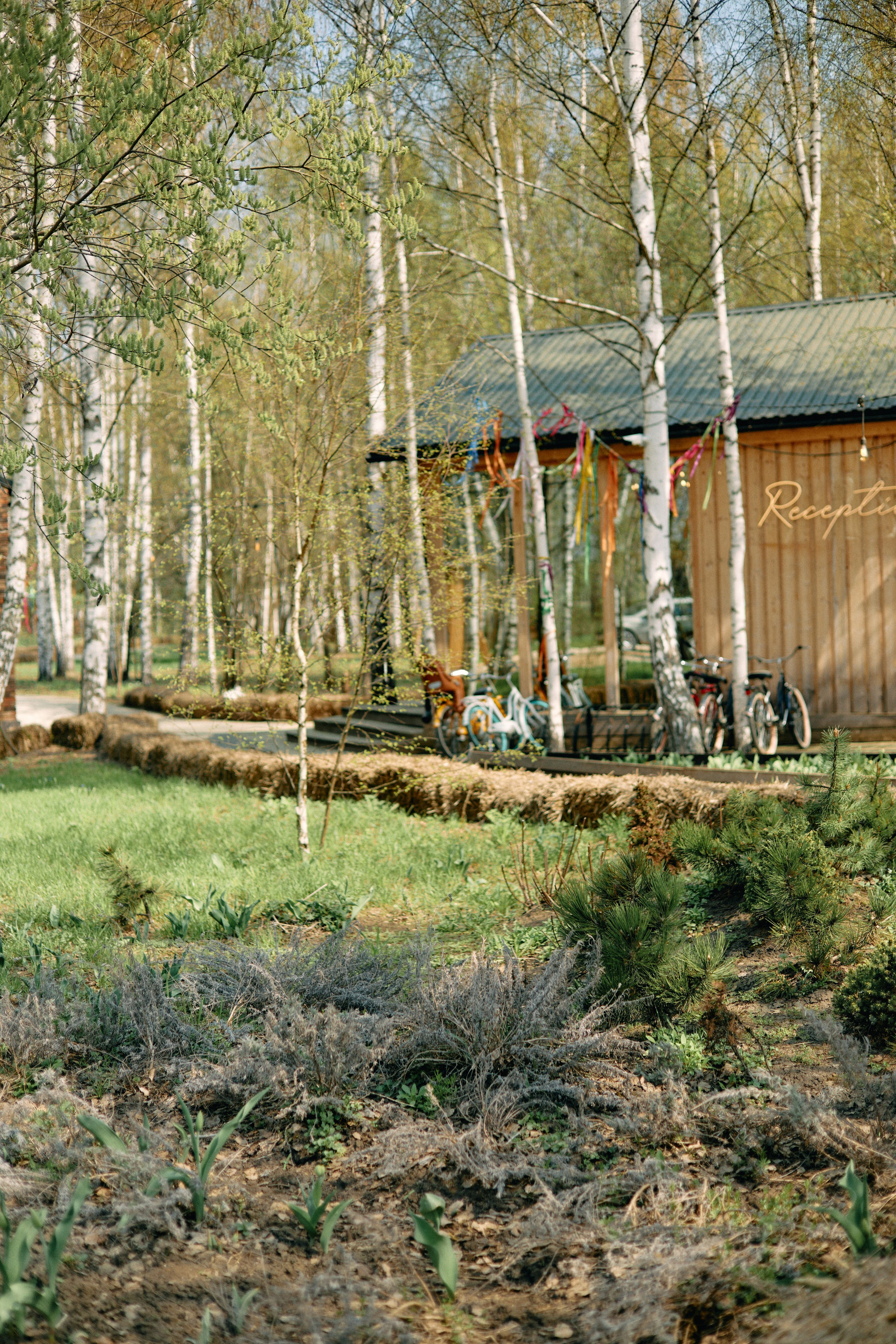 Бутик-отель Поле летом. Профессиональный Фотограф во Владимире, в Москве и в Суздале — Полина Романычева