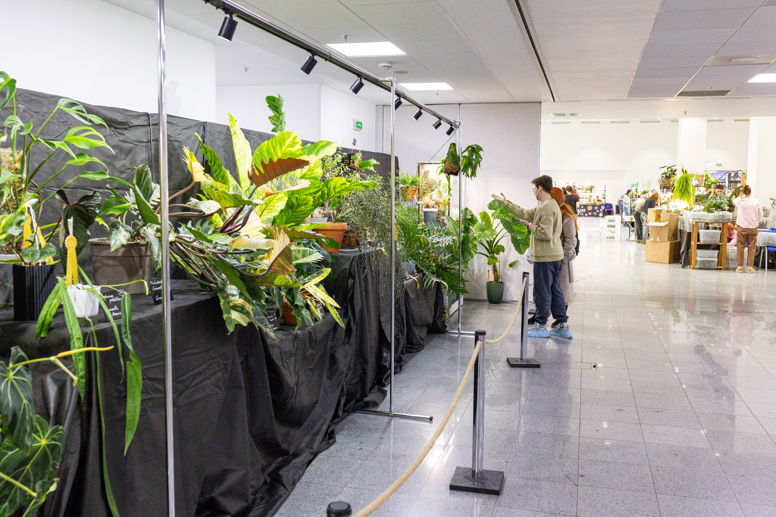 Монстериум апрель 2025. Александра Куликова фотограф, Москва