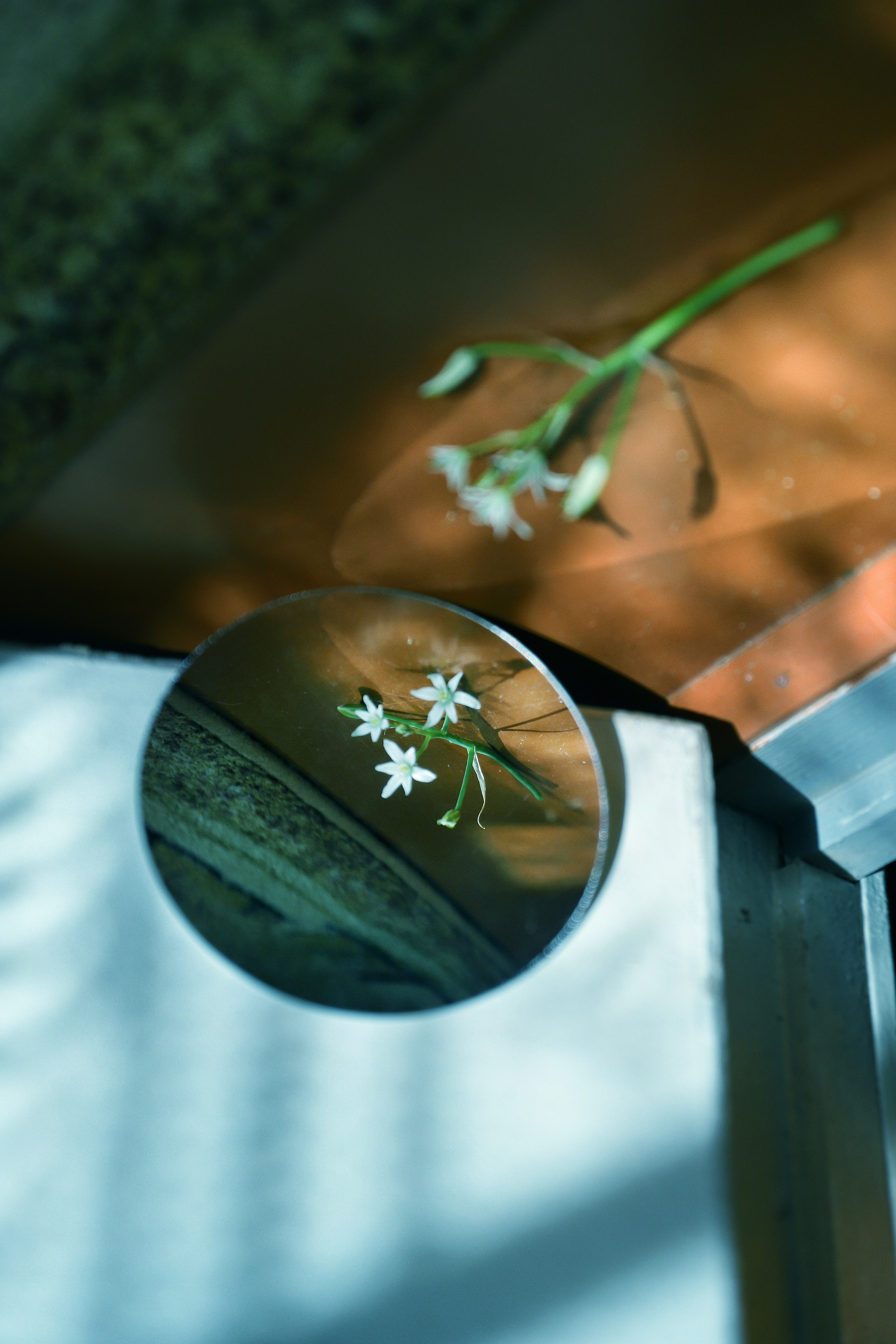 Бесшумная фотография. Tatyana Mazok творческий фотограф в Минске