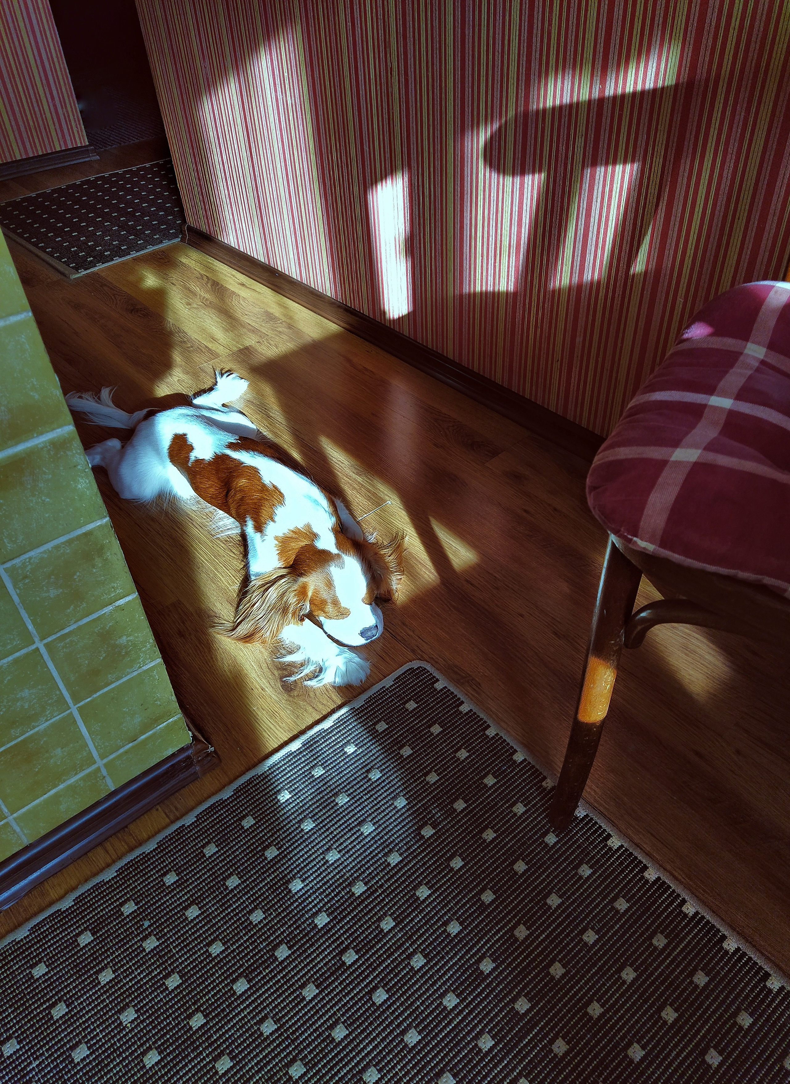 Бесшумная фотография. Tatyana Mazok творческий фотограф в Минске