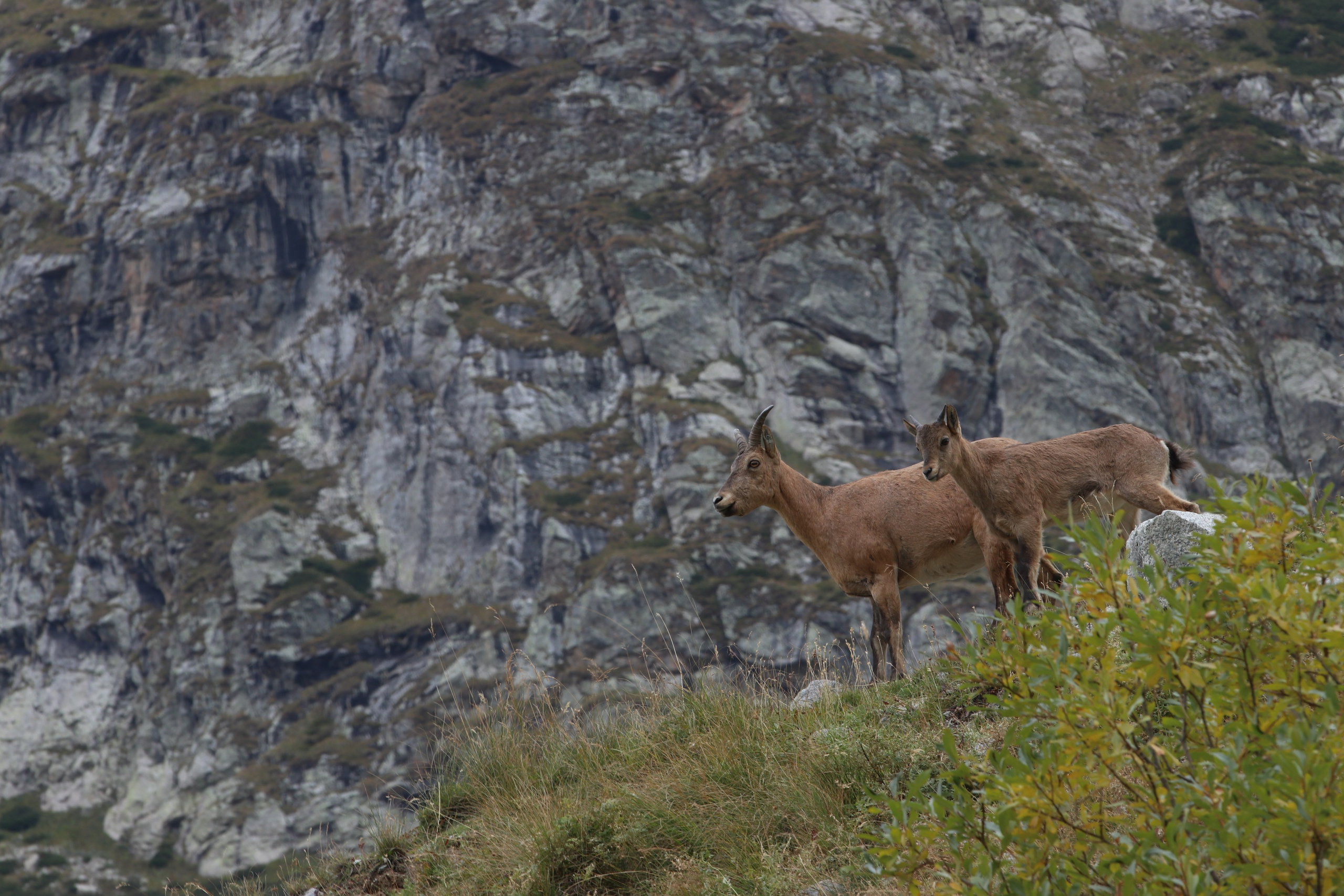 Приэльбрусье. Сентябрь 2023. Путешественник-фотограф из Санкт-Петербурга Татьяна Свистулина