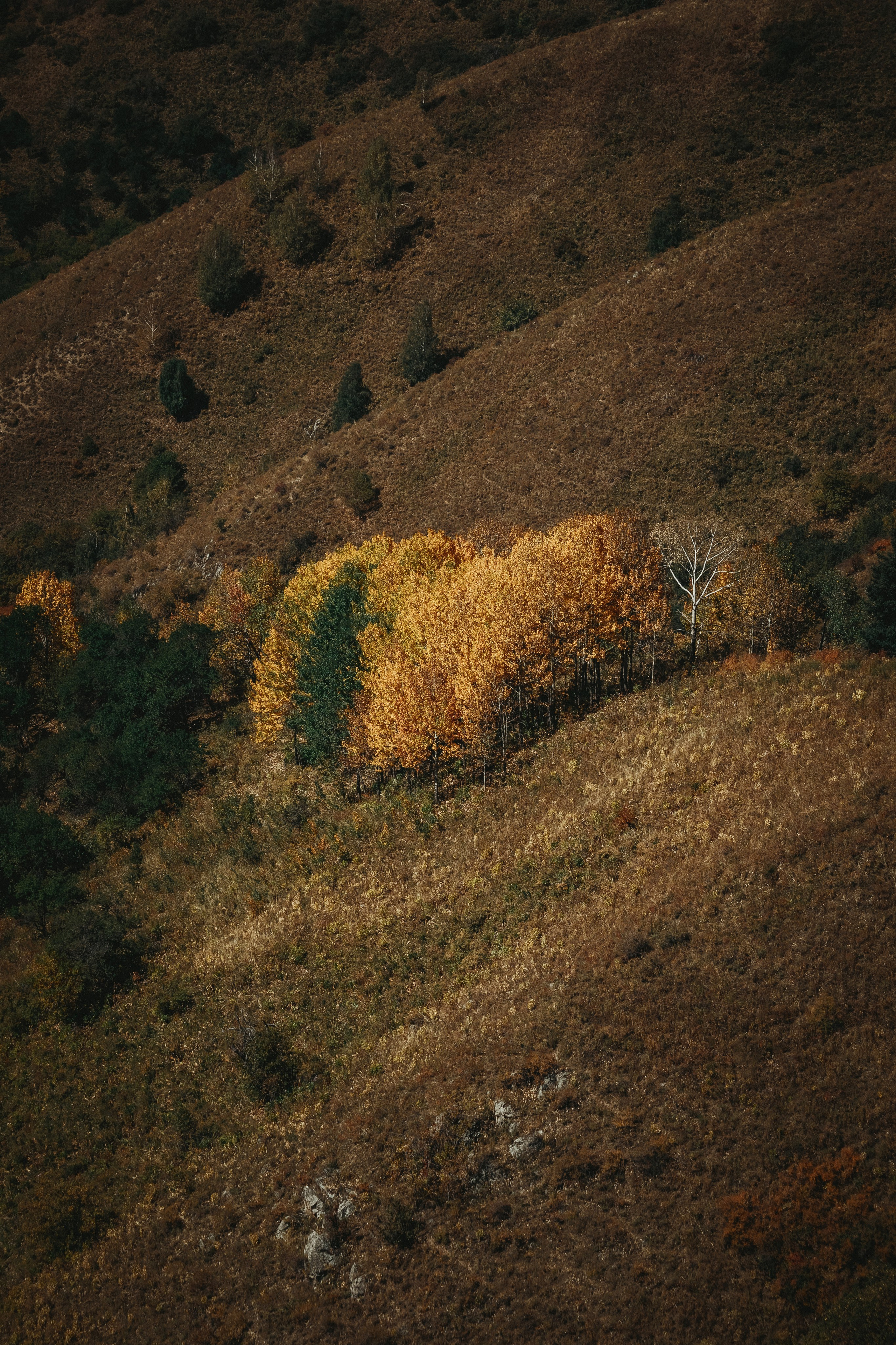 Жизнь. Фотограф Алматы | Весь мир — Никита Колодин
