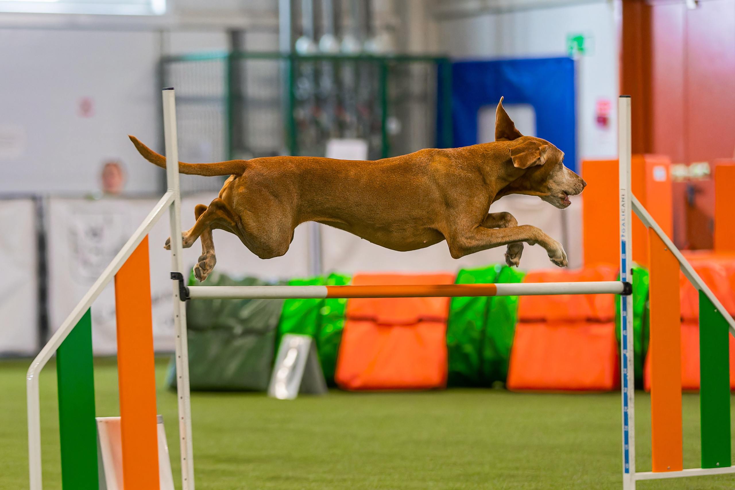 Baltic Cup 2024. Irenephoto.ru