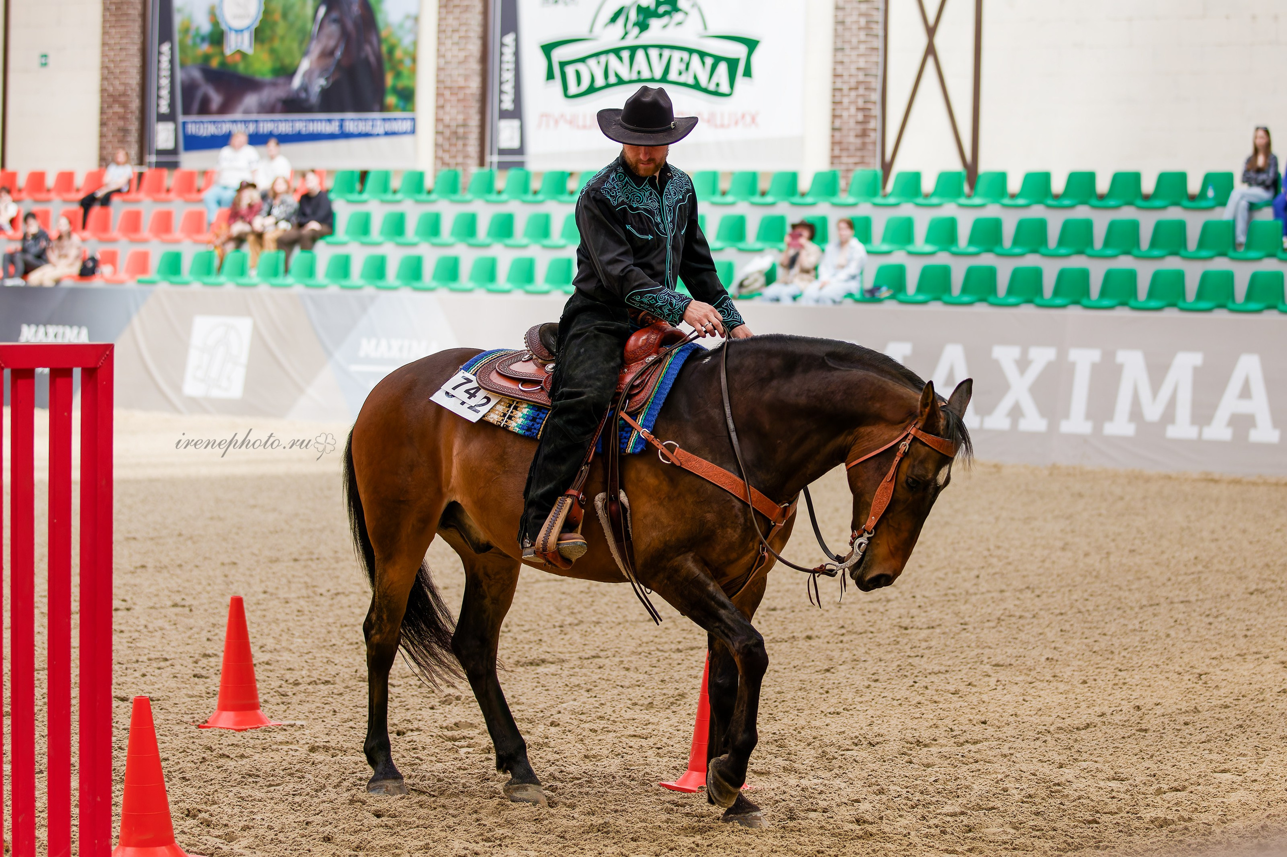Конная Весна 2026. Irenephoto.ru