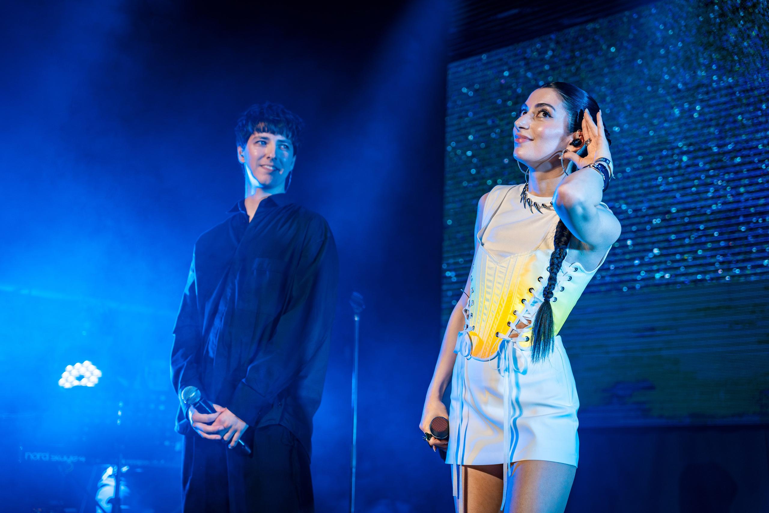 Gayana. Магия музыки в кадре: Концертная Фотография