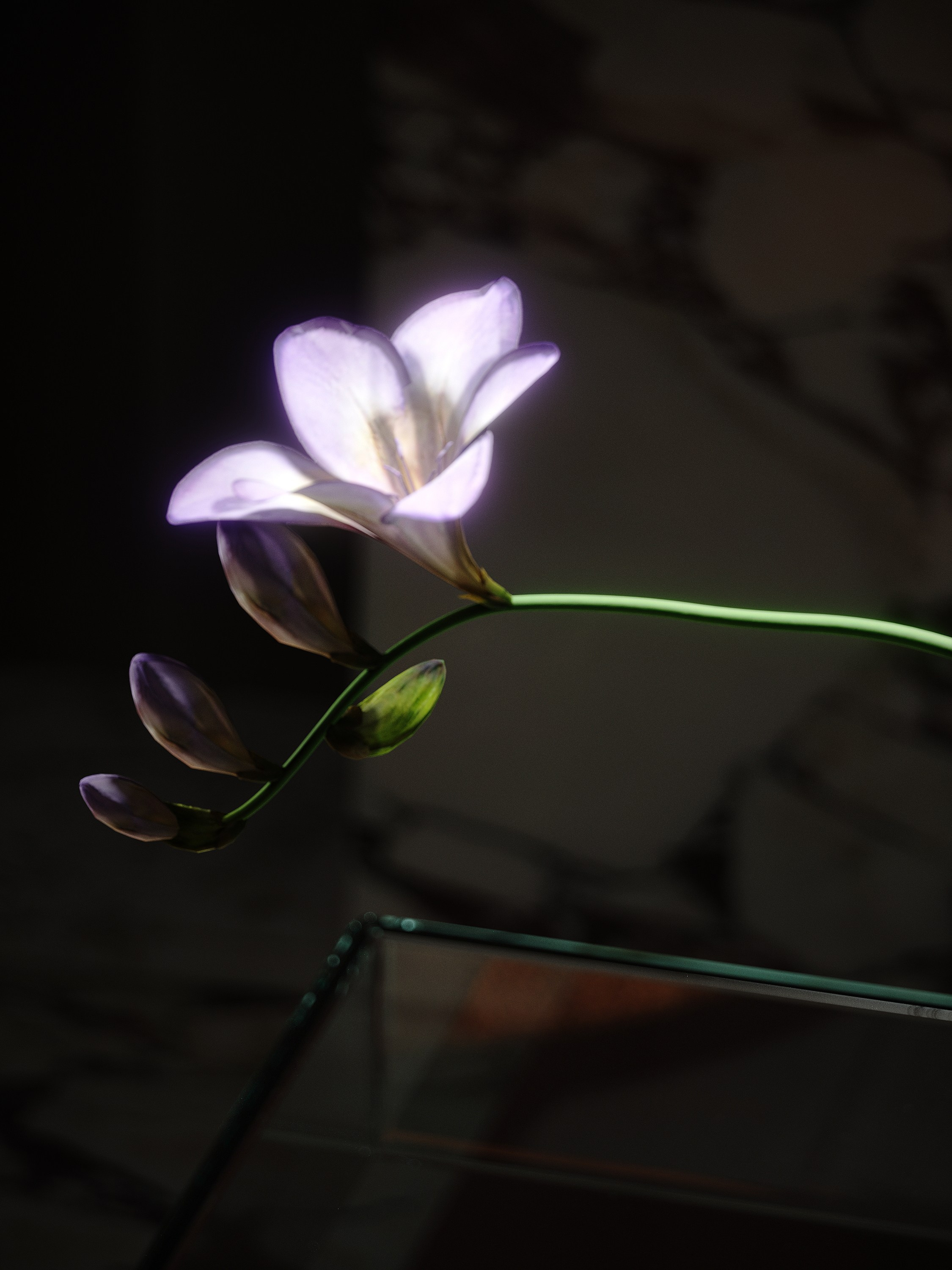 2FORM MK. VALERIA GORNOSTAEVA. DESIGN AND VISUALIZATION