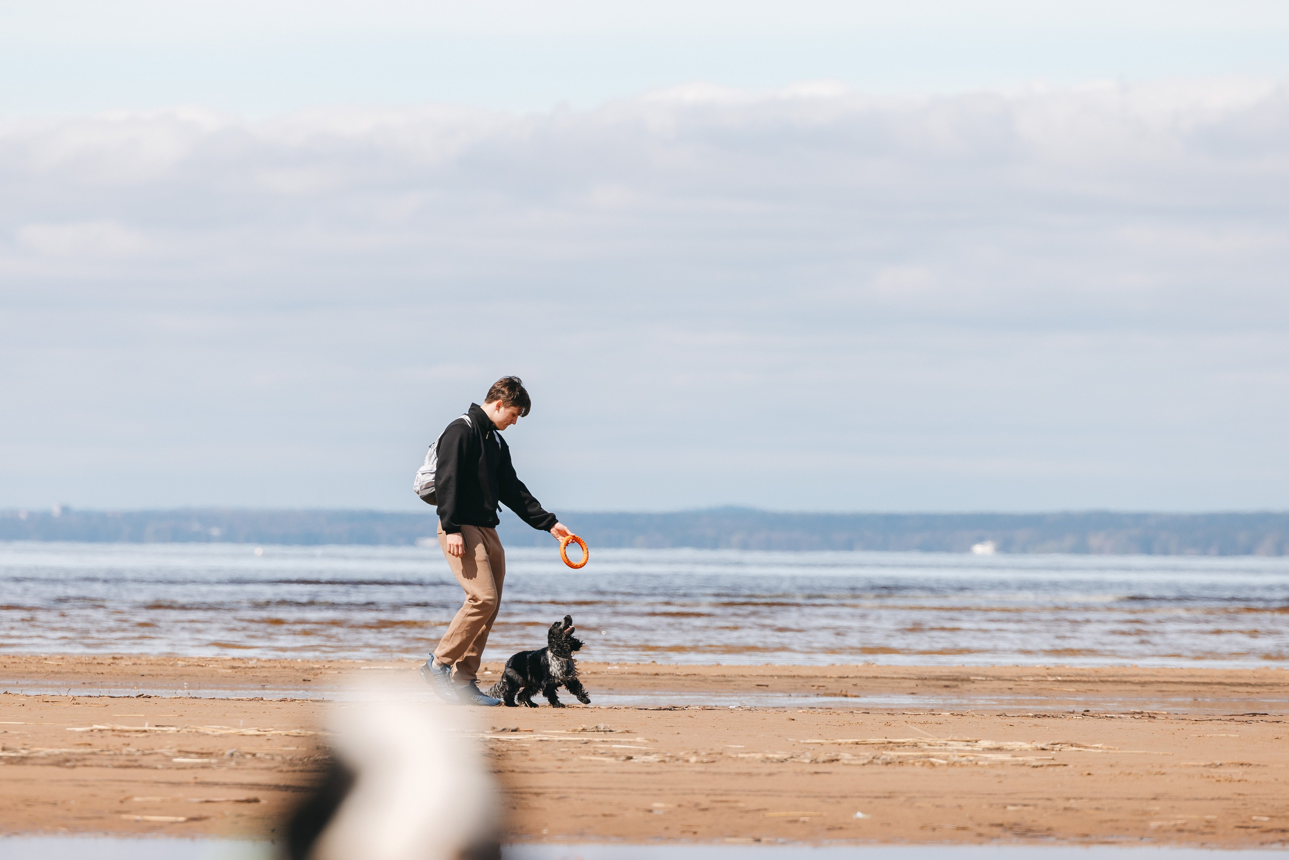 Спанимания. Фотограф анималист Осипчикова Мария