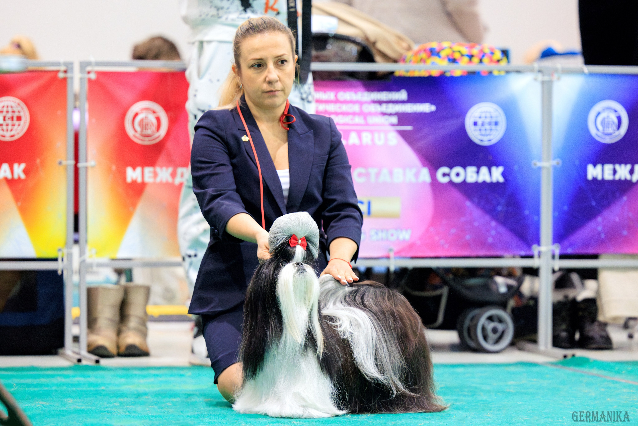 Минск 24-25.02.2024. Фотограф-анималист Юлия Германика