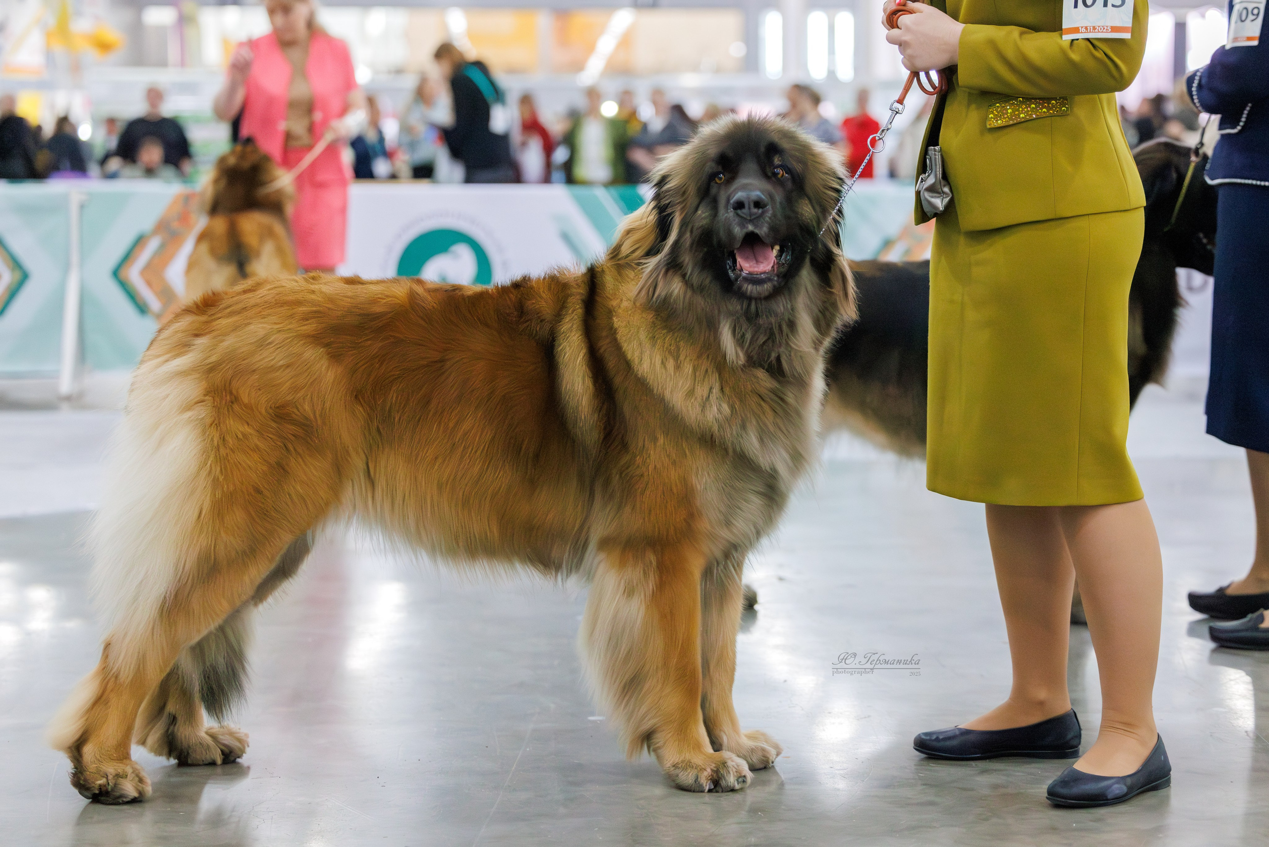 Евразия 15-16.11.2025. Фотограф-анималист Юлия Германика