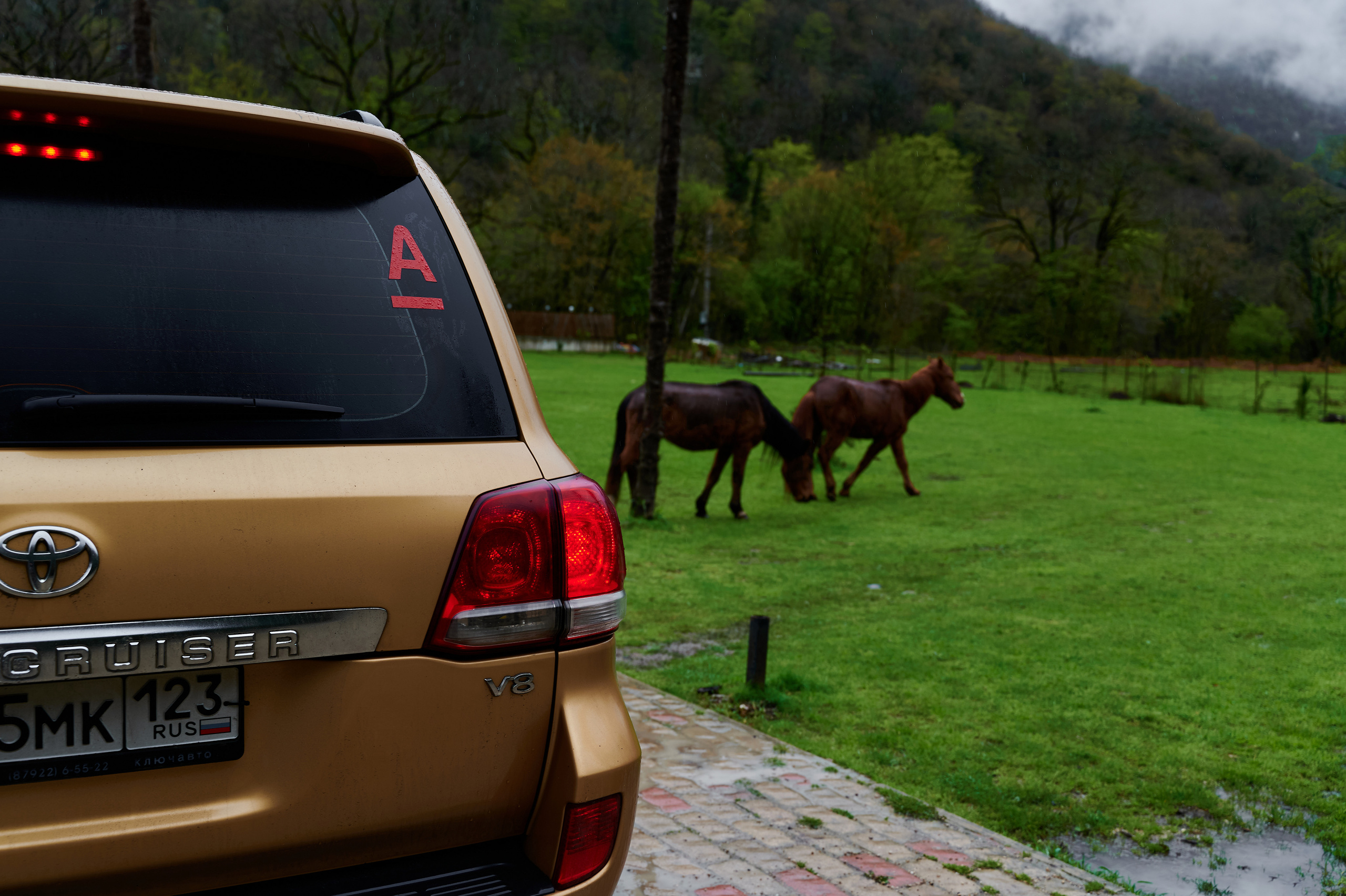 ALFABANK. Фотограф Сочи Александр Лашкул