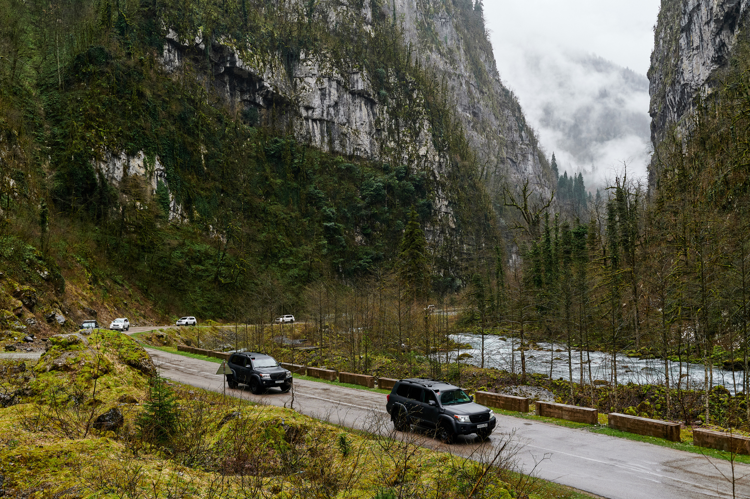 ALFABANK. Фотограф Сочи Александр Лашкул