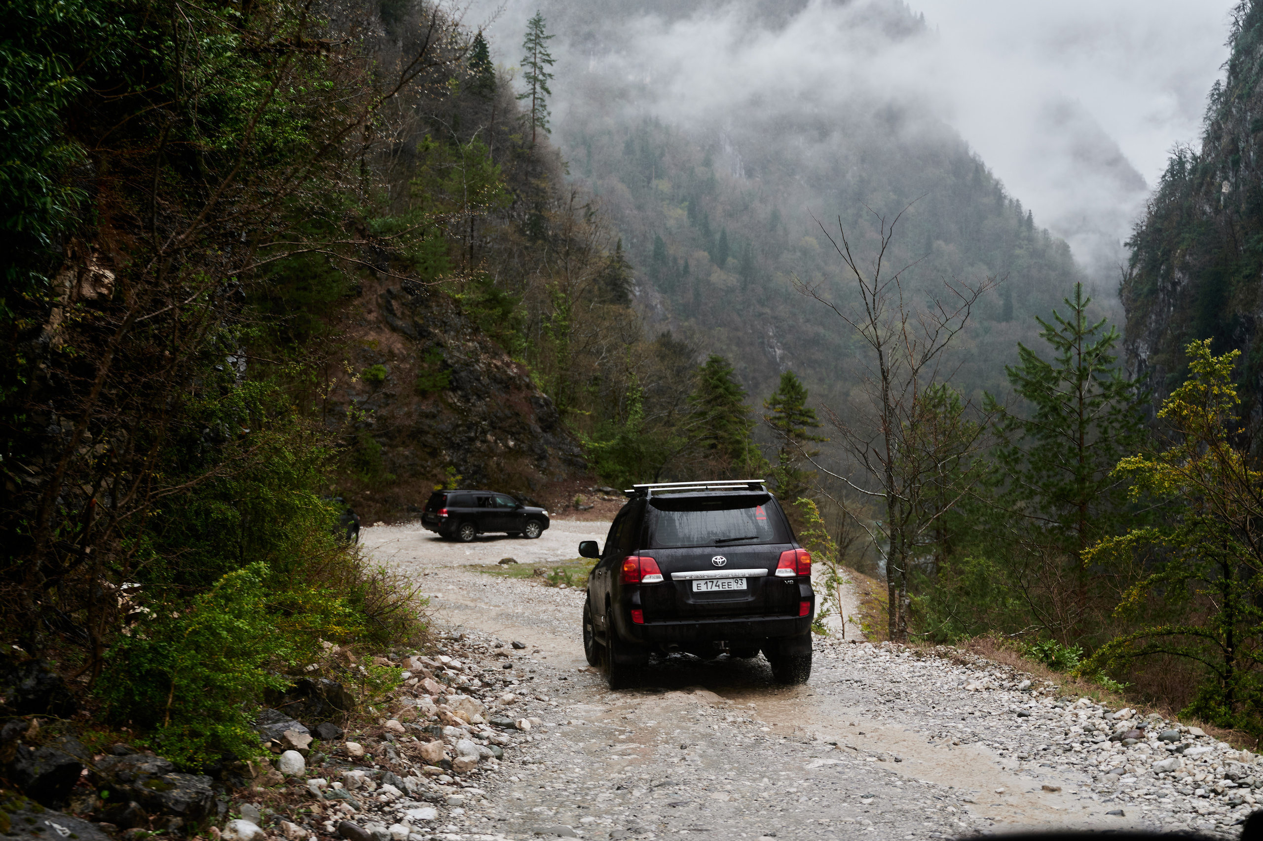 ALFABANK. Фотограф Сочи Александр Лашкул