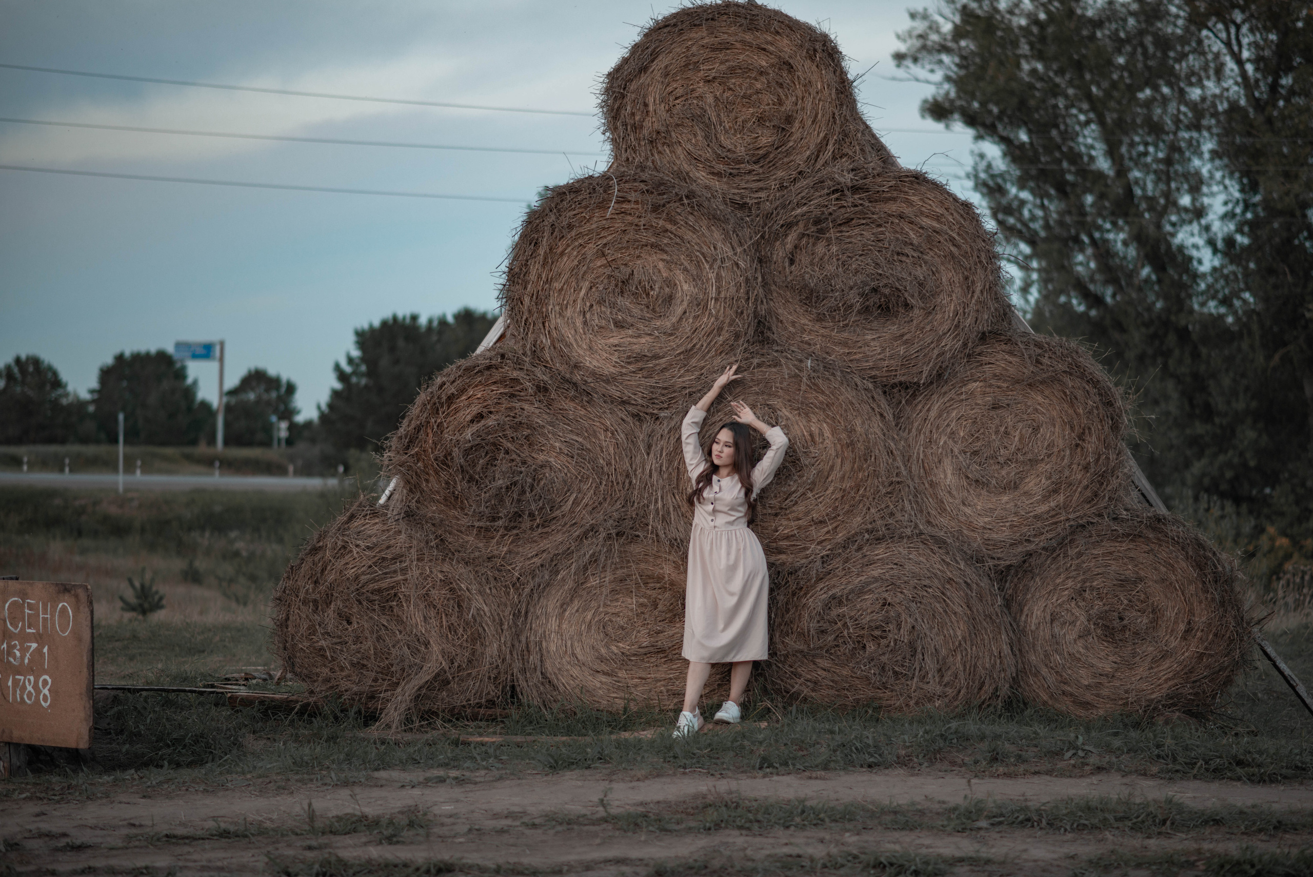 В сене 1. Семейный и свадебный фотограф в Абакане Юлия Су