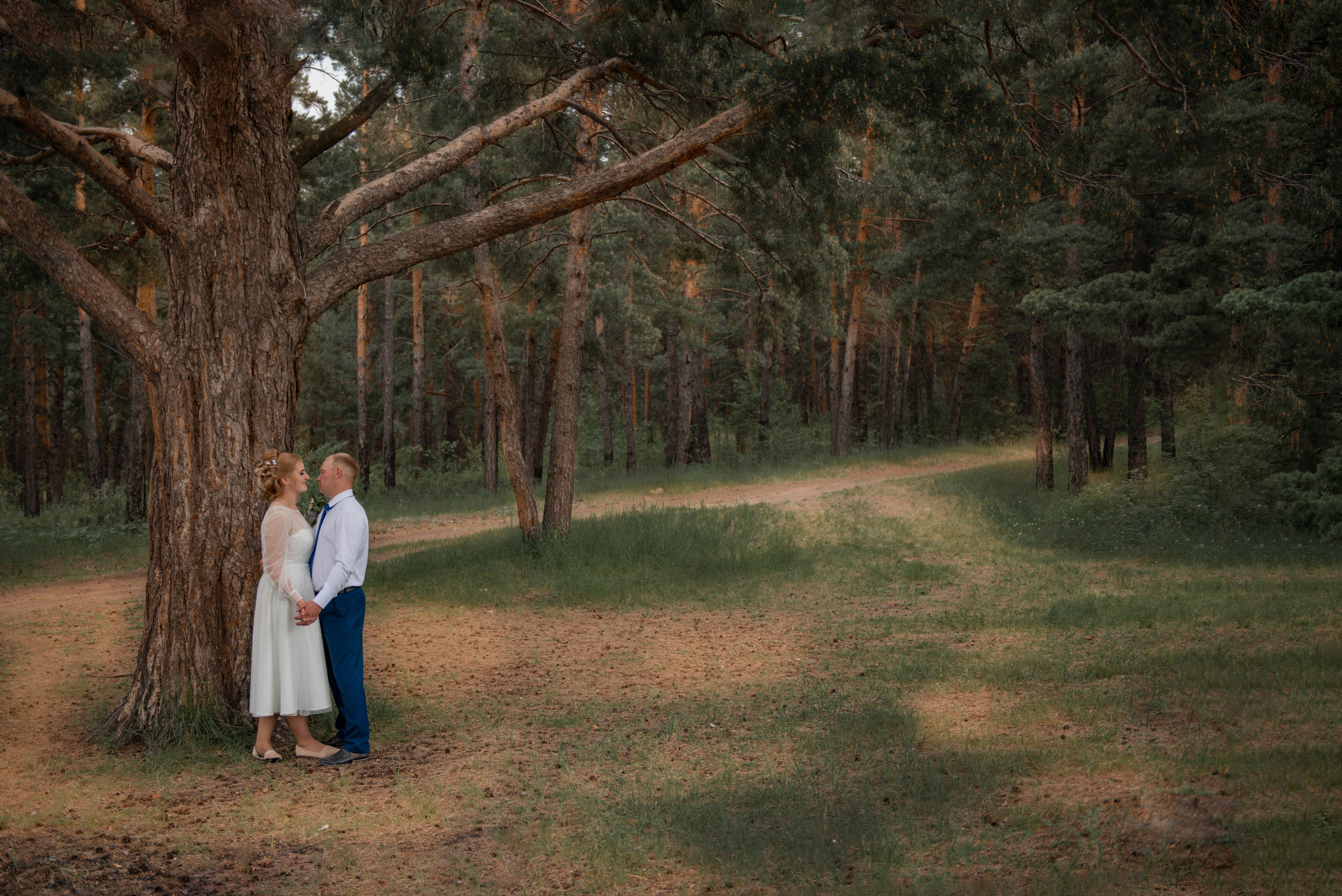 Елена и Сергей. Семейный и свадебный фотограф в Абакане Юлия Су