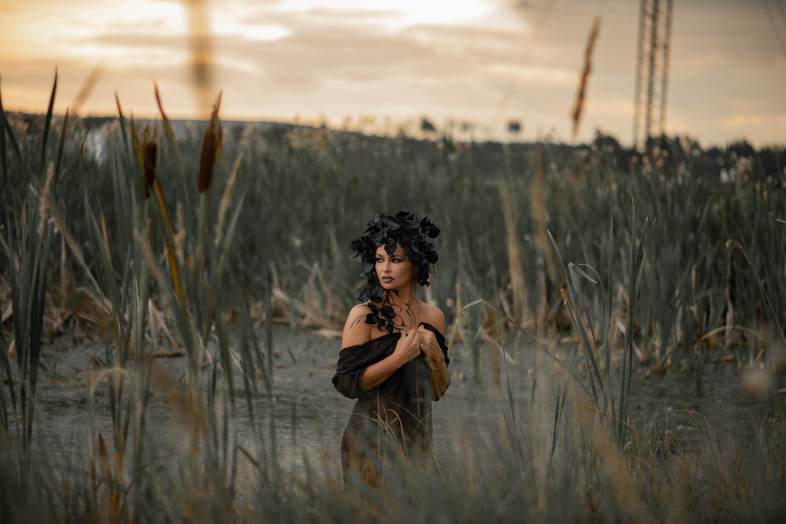 Черная орхидея. Семейный и свадебный фотограф в Абакане Юлия Су