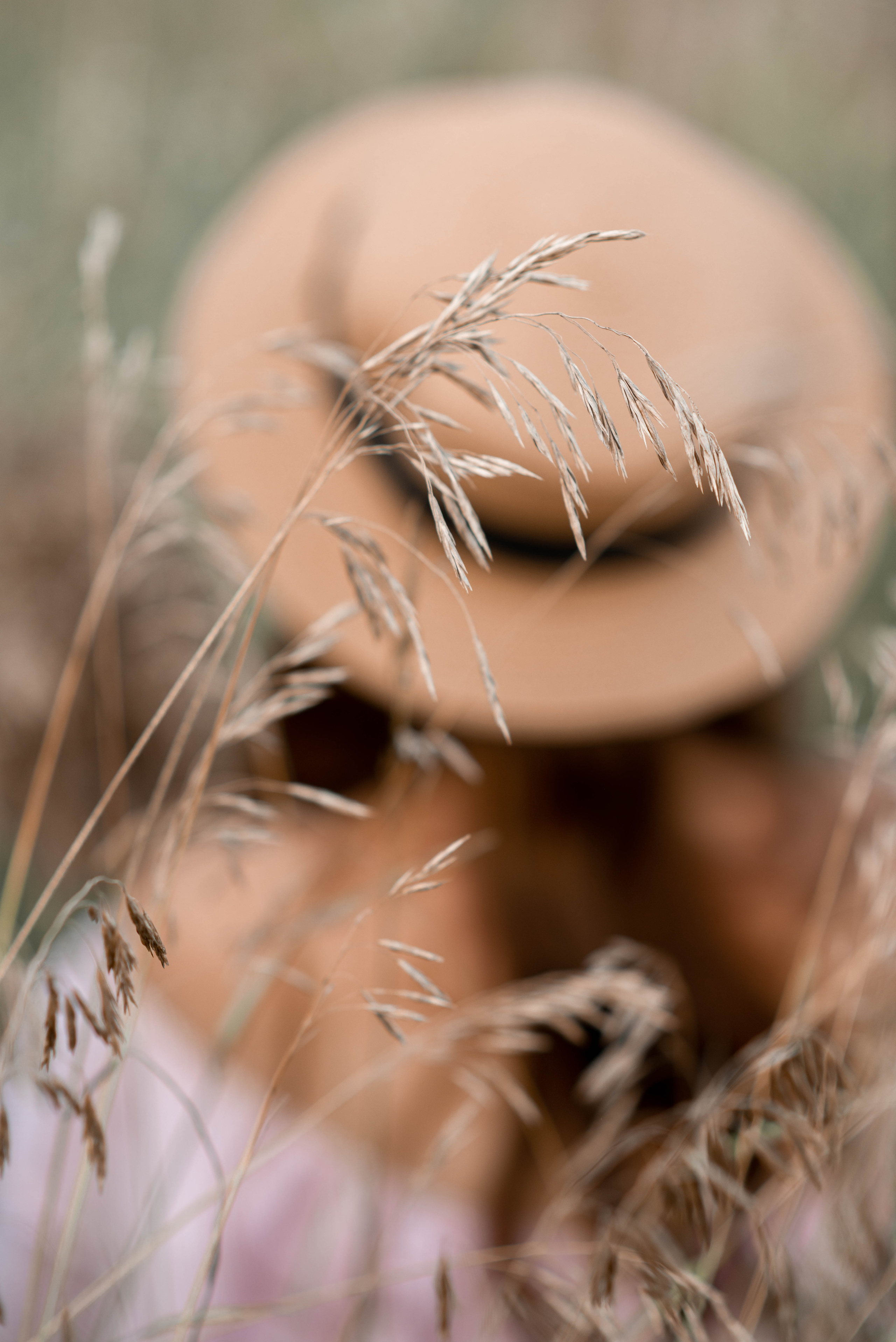 Девушка в поле. Семейный и свадебный фотограф в Абакане Юлия Су
